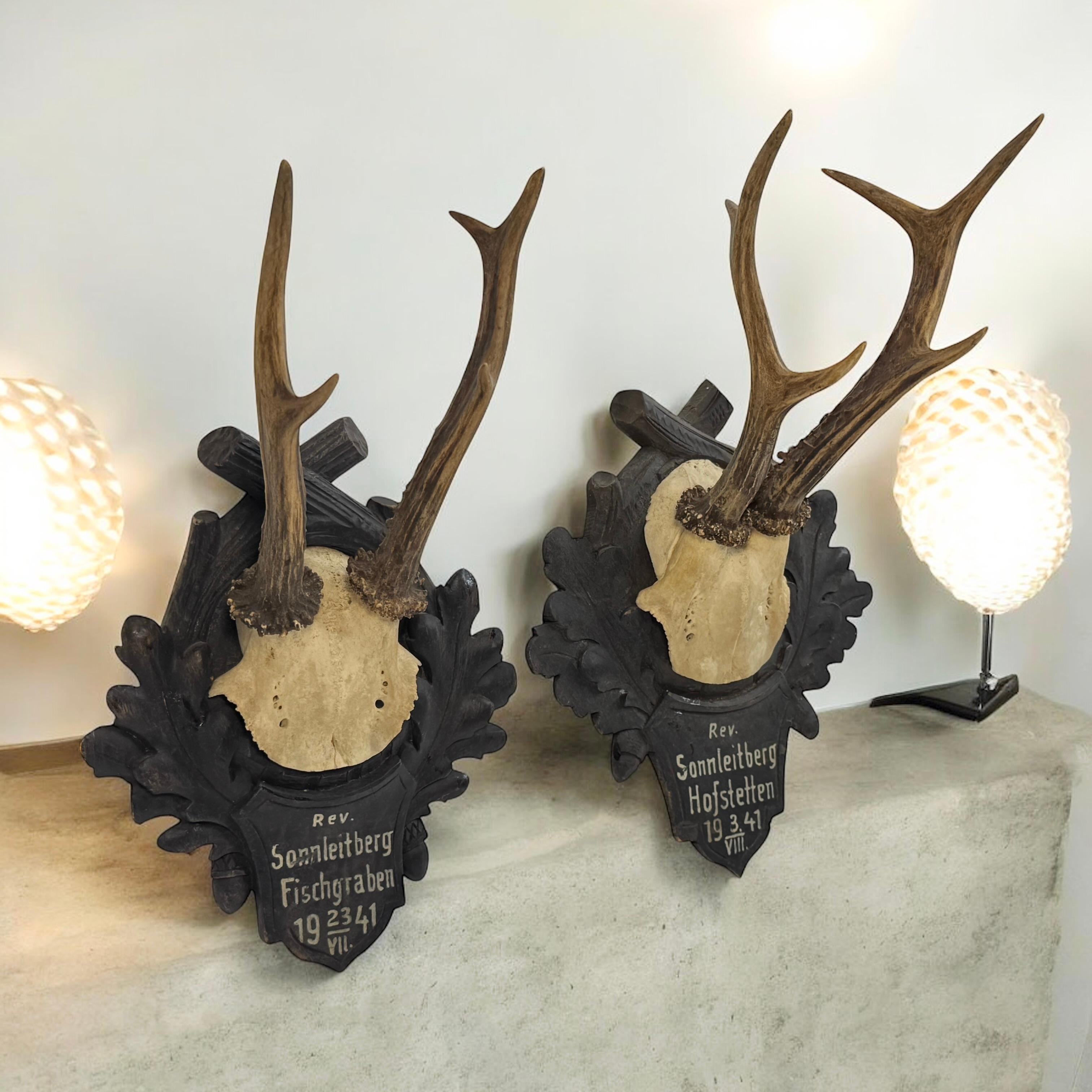 Two Deer Antler Mount Trophy Black Forest on Wood Plaque Austria Folk Art 1940s For Sale 8