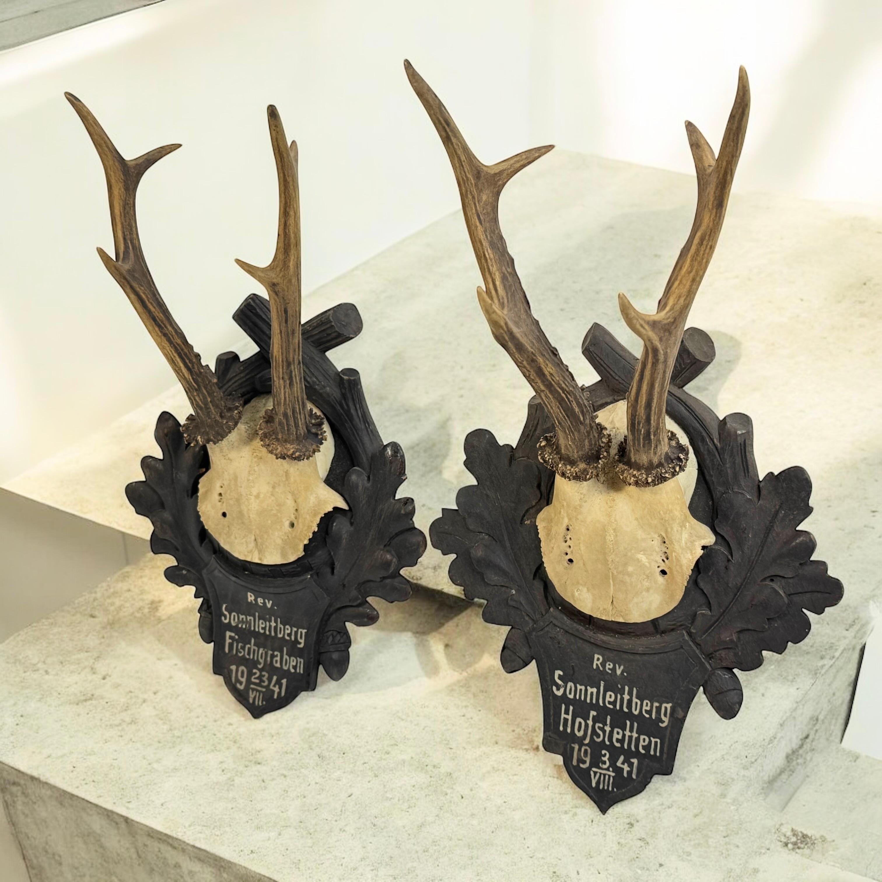 Two Deer Antler Mount Trophy Black Forest on Wood Plaque Austria Folk Art 1940s For Sale 9