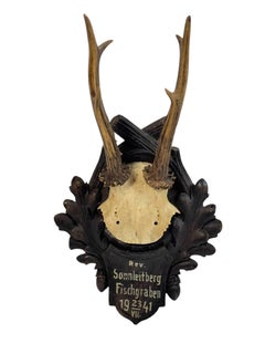 Two Deer Antler Mount Trophy Black Forest on Wood Plaque Austria Folk Art 1940s