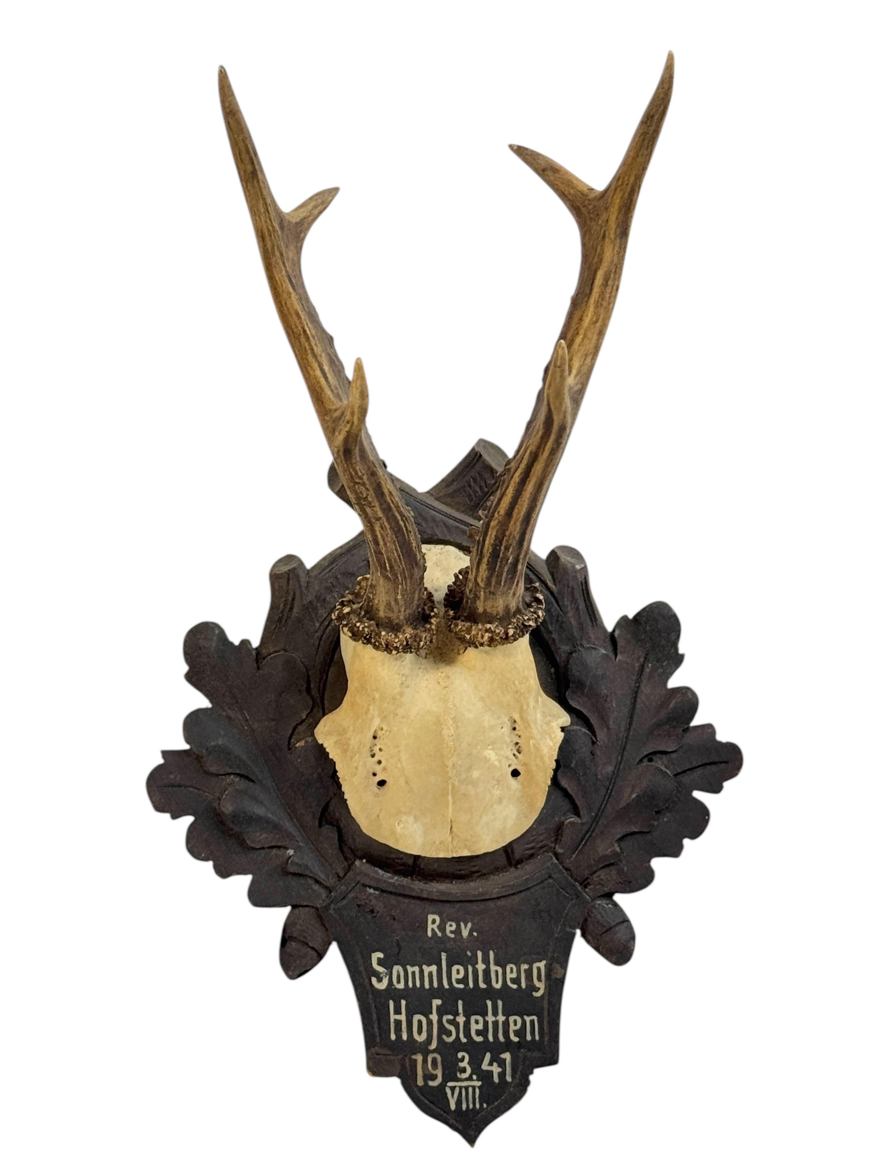 Austrian Two Deer Antler Mount Trophy Black Forest on Wood Plaque Austria Folk Art 1940s For Sale