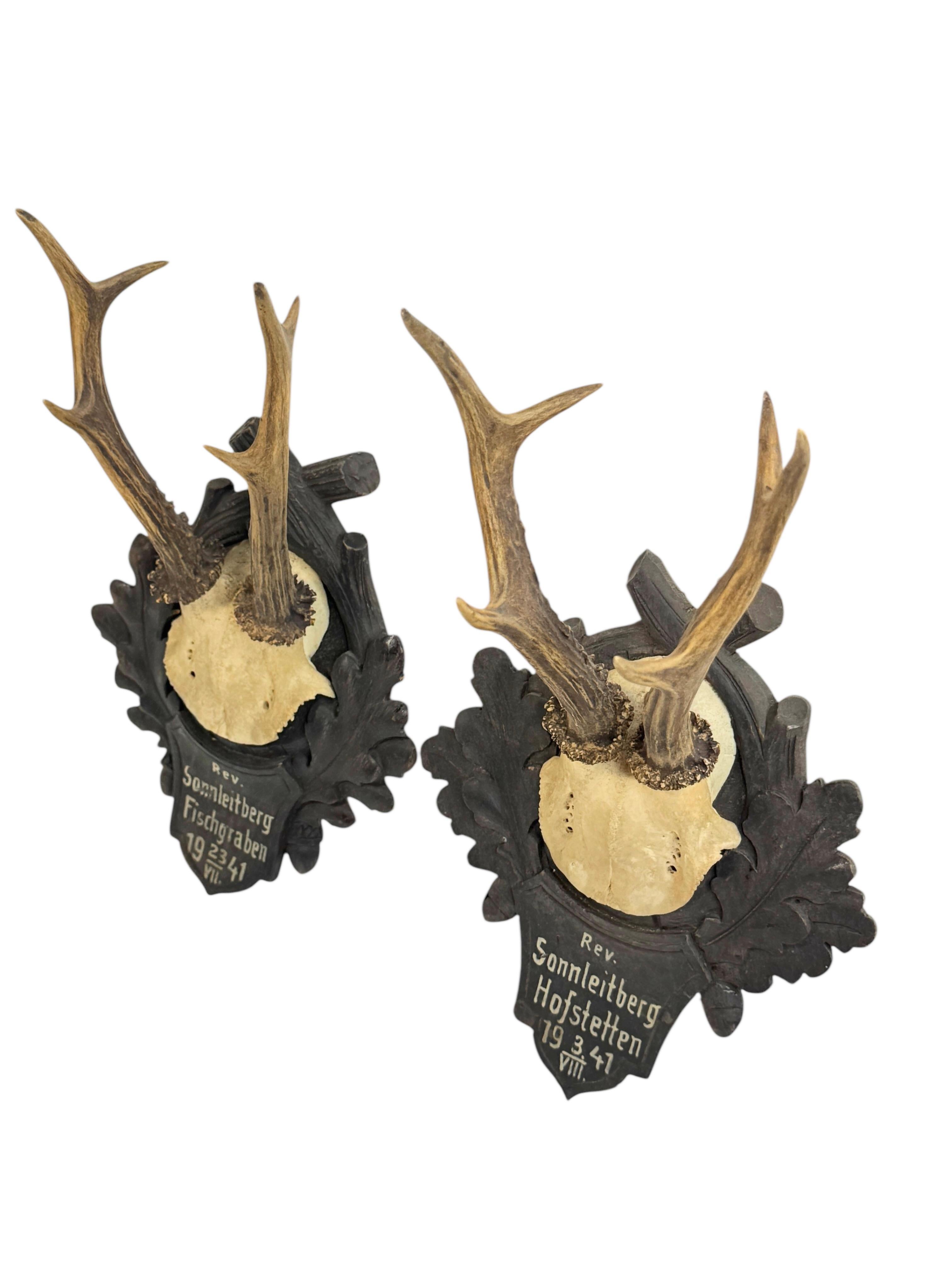Hand-Carved Two Deer Antler Mount Trophy Black Forest on Wood Plaque Austria Folk Art 1940s For Sale