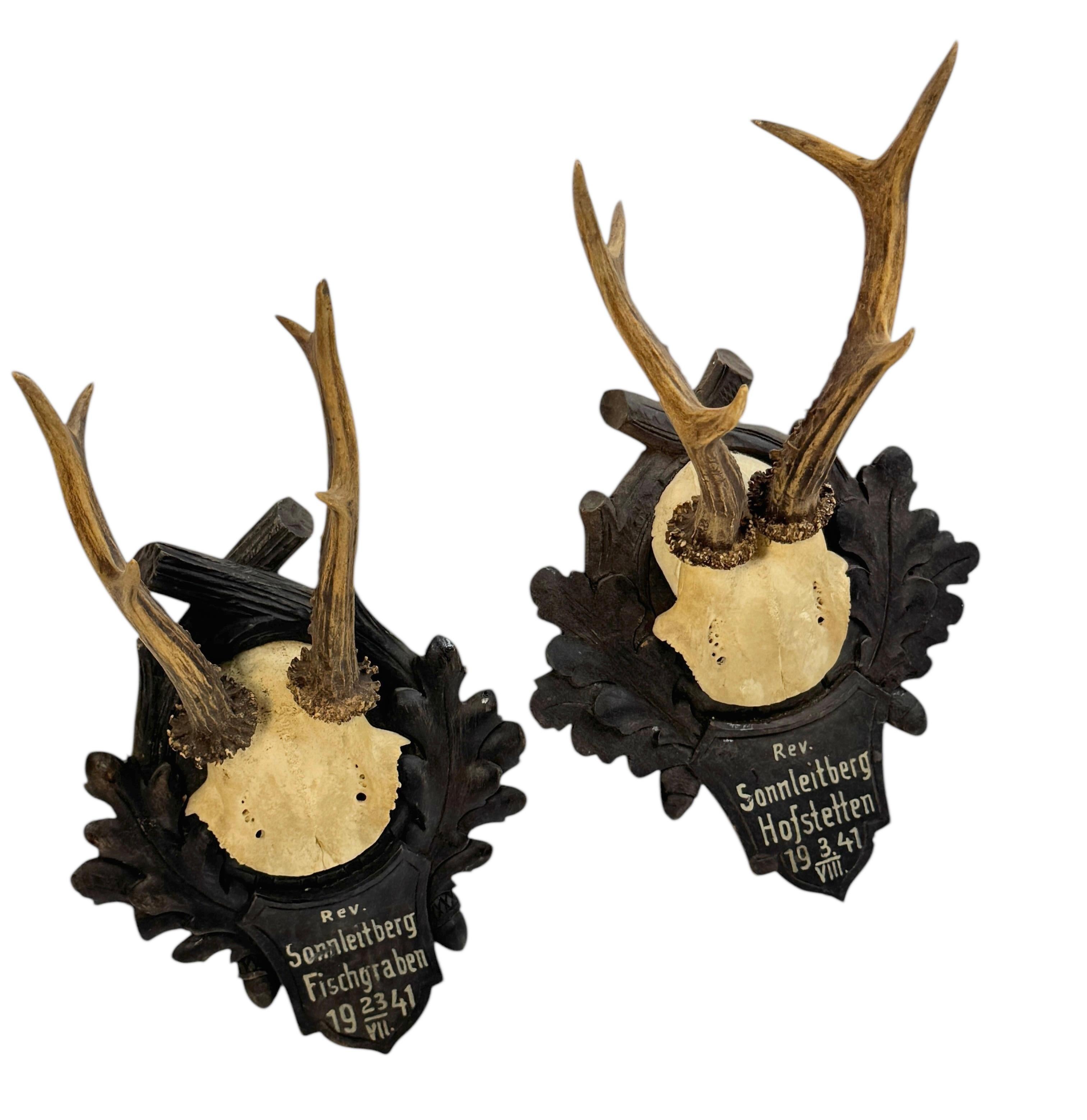 Two Deer Antler Mount Trophy Black Forest on Wood Plaque Austria Folk Art 1940s In Good Condition For Sale In Nuernberg, DE