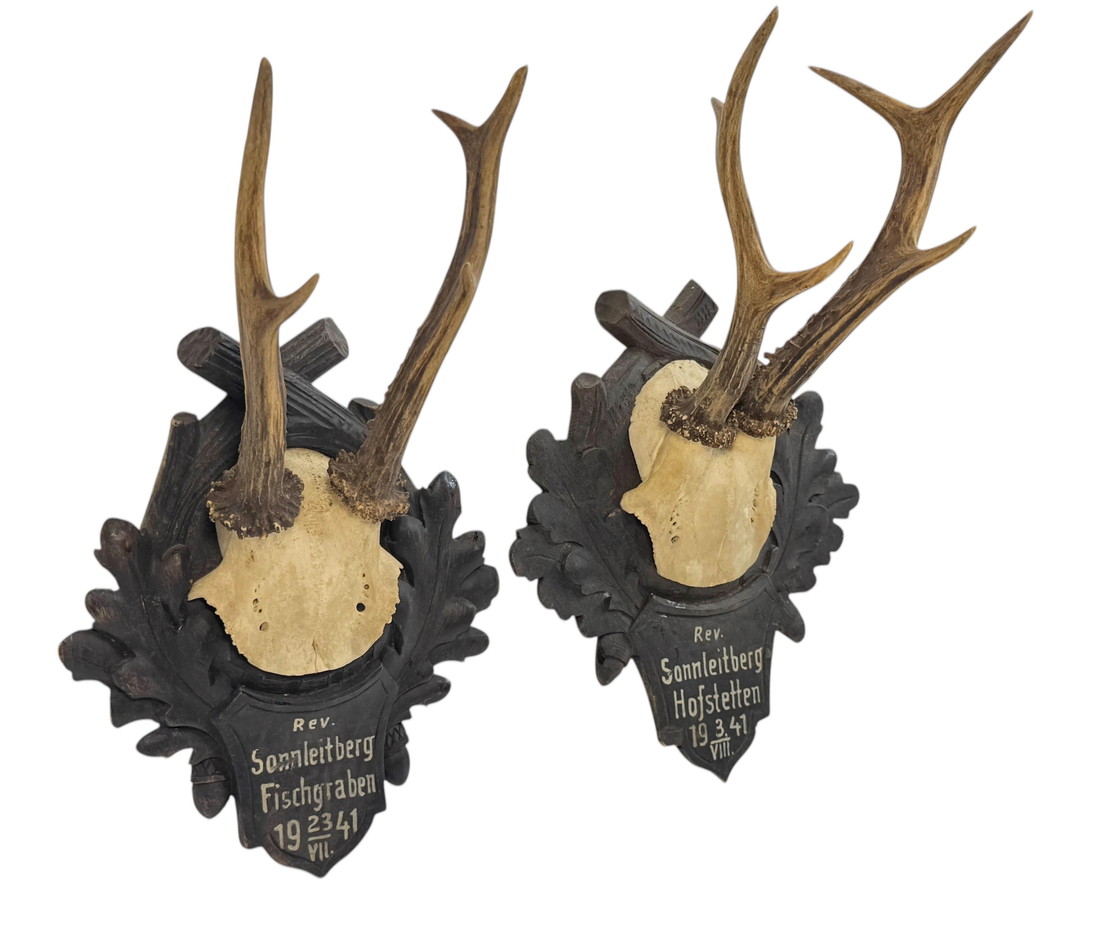 Mid-20th Century Two Deer Antler Mount Trophy Black Forest on Wood Plaque Austria Folk Art 1940s For Sale