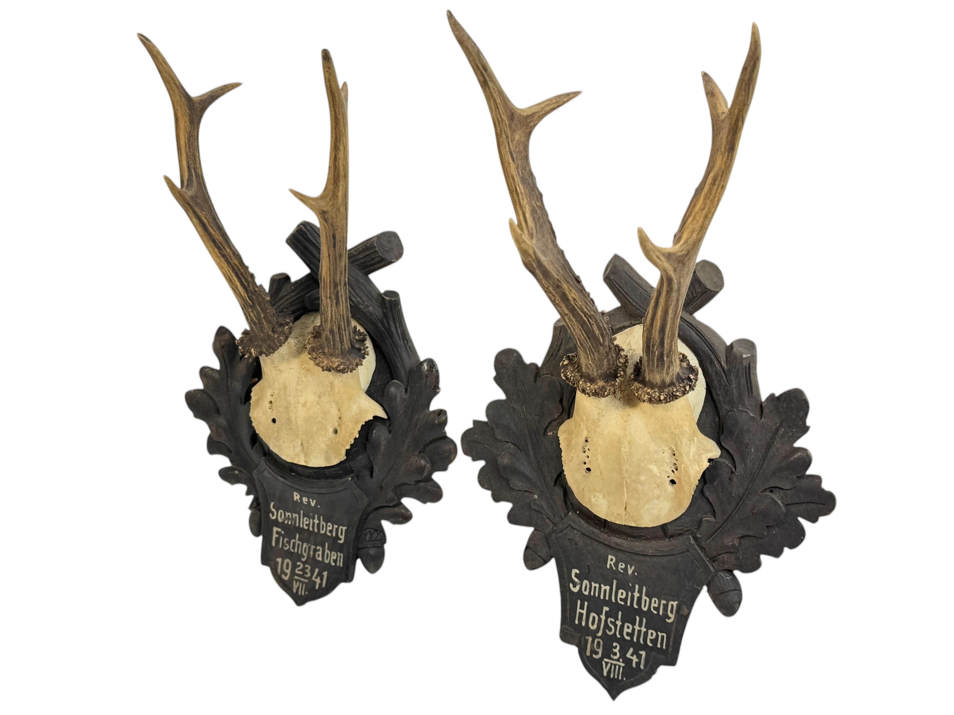 Two Deer Antler Mount Trophy Black Forest on Wood Plaque Austria Folk Art 1940s For Sale 1