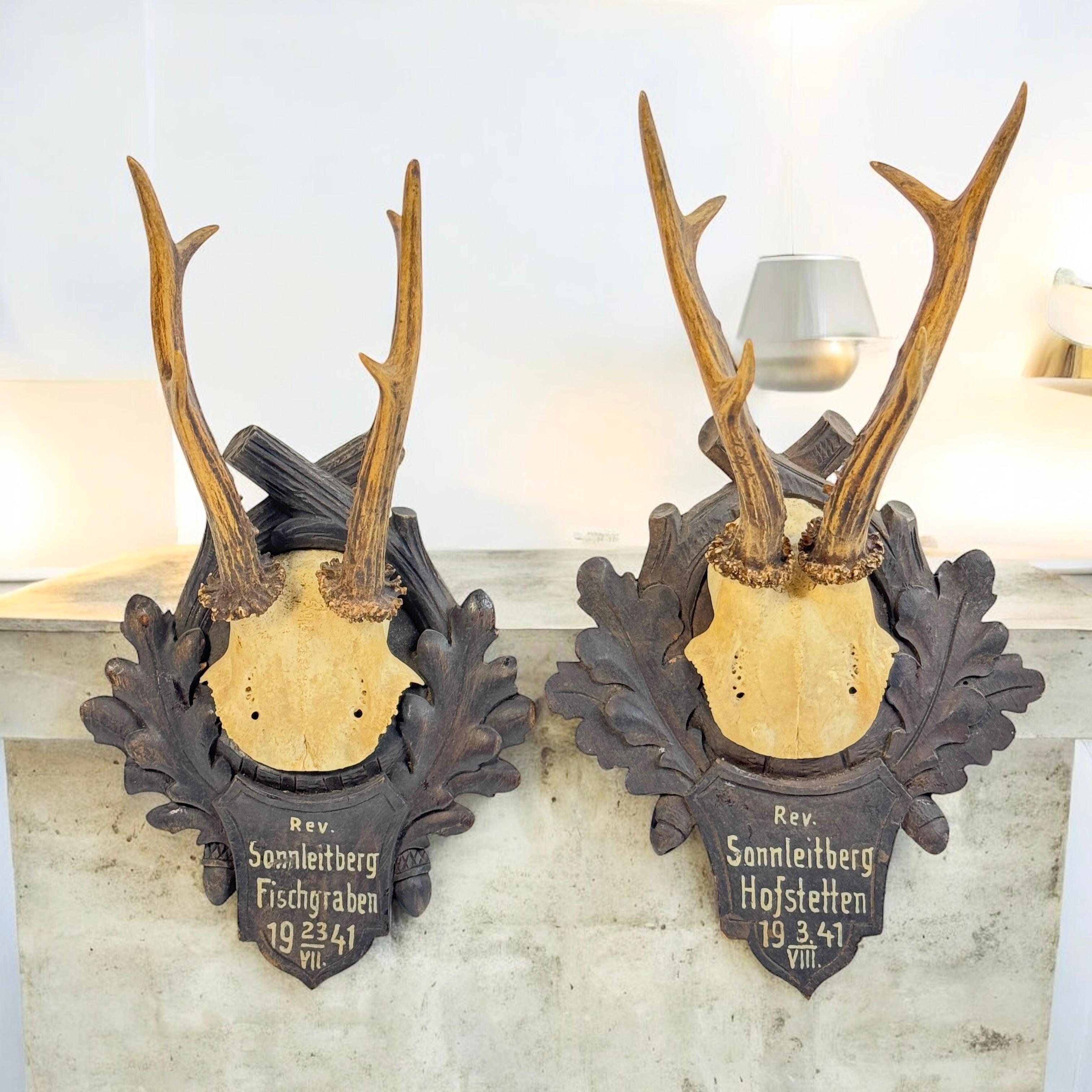 Two Deer Antler Mount Trophy Black Forest on Wood Plaque Austria Folk Art 1940s For Sale 3