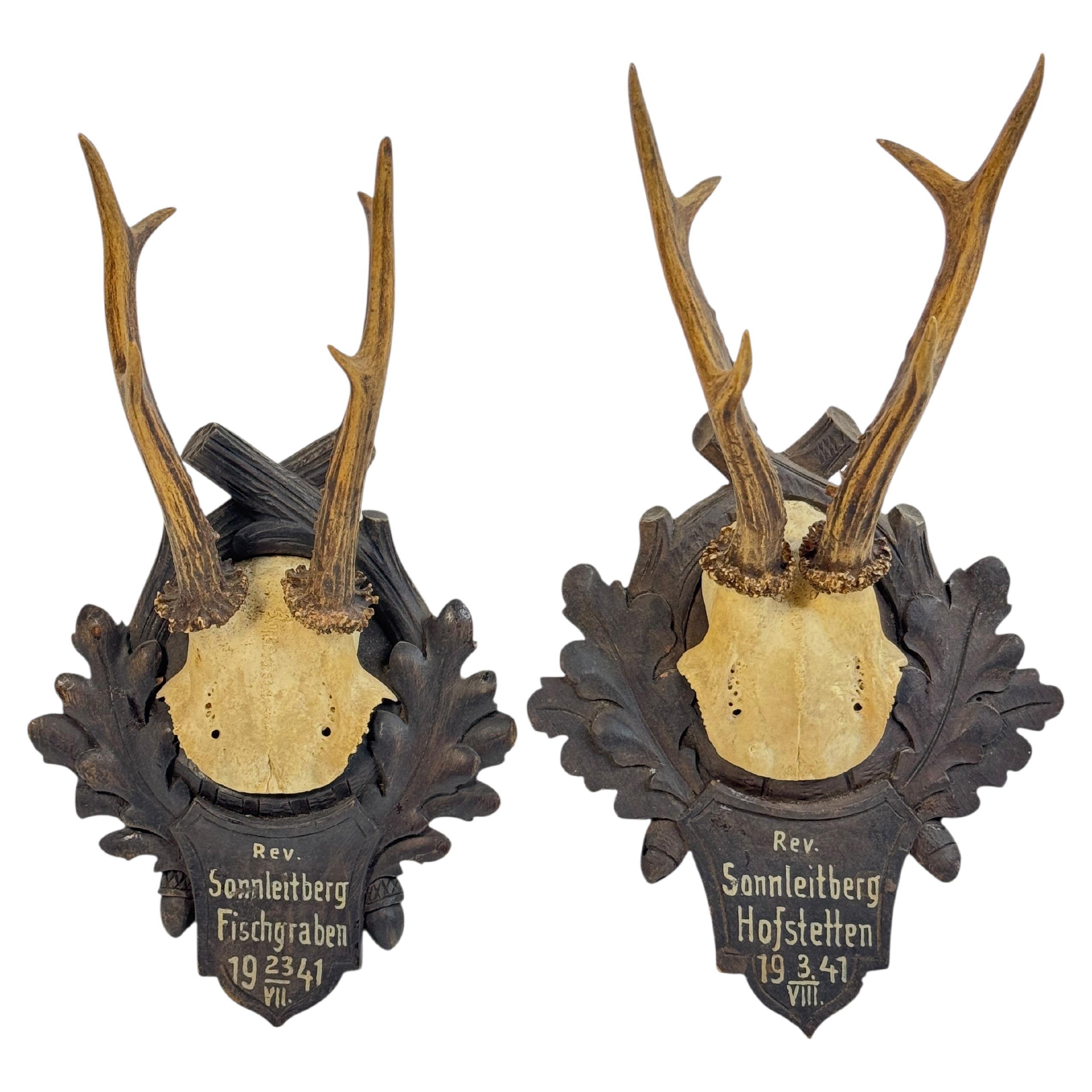 Two Deer Antler Mount Trophy Black Forest on Wood Plaque Austria Folk Art 1940s