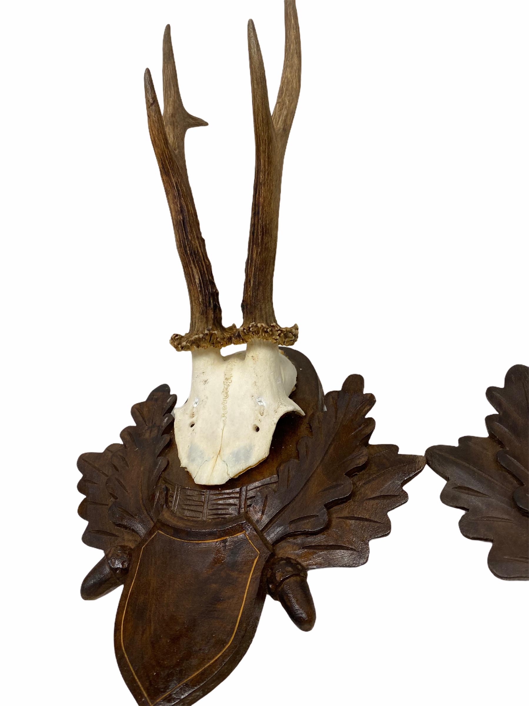 A set of two vintage Black Forest deer antler trophies on hand carved, Black Forest wooden plaques. I think they are from the 1960s or older. Tallest is approximate 13 7/8