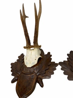 Two Deer Antler Mount Trophy on Black Forest Carved Wood Plaque from Austria