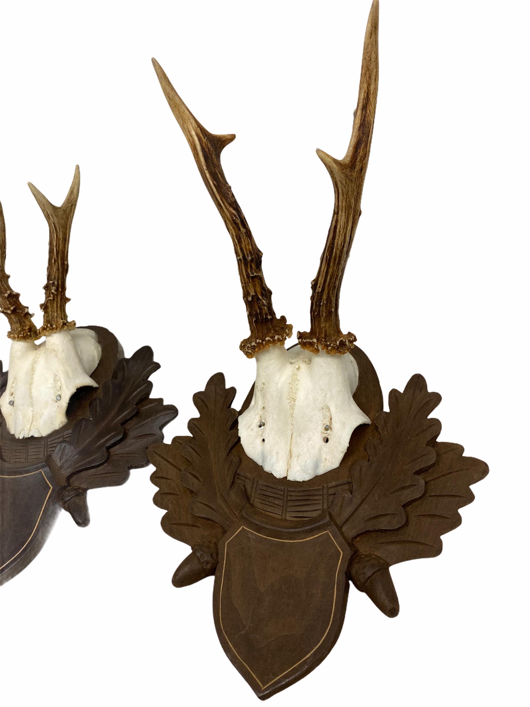 A set of two vintage Black Forest deer antler trophies on hand carved, Black Forest wooden plaques. I think they are from the 1960s or older. Tallest is approximate 1.5