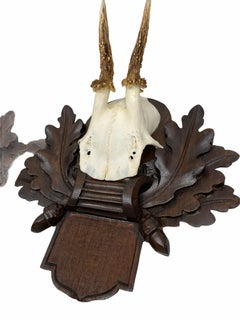 Two Deer Antler Mount Trophy on Black Forest Carved Wood Plaque from Austria