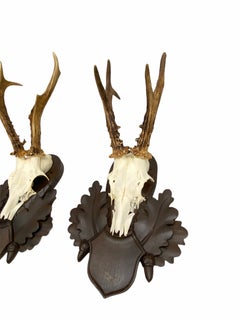 Two Deer Antler Mount Trophy on Black Forest Carved Wood Plaque from Austria