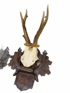 Two Deer Antler Mount Trophy on Black Forest Carved Wood Plaque from Austria