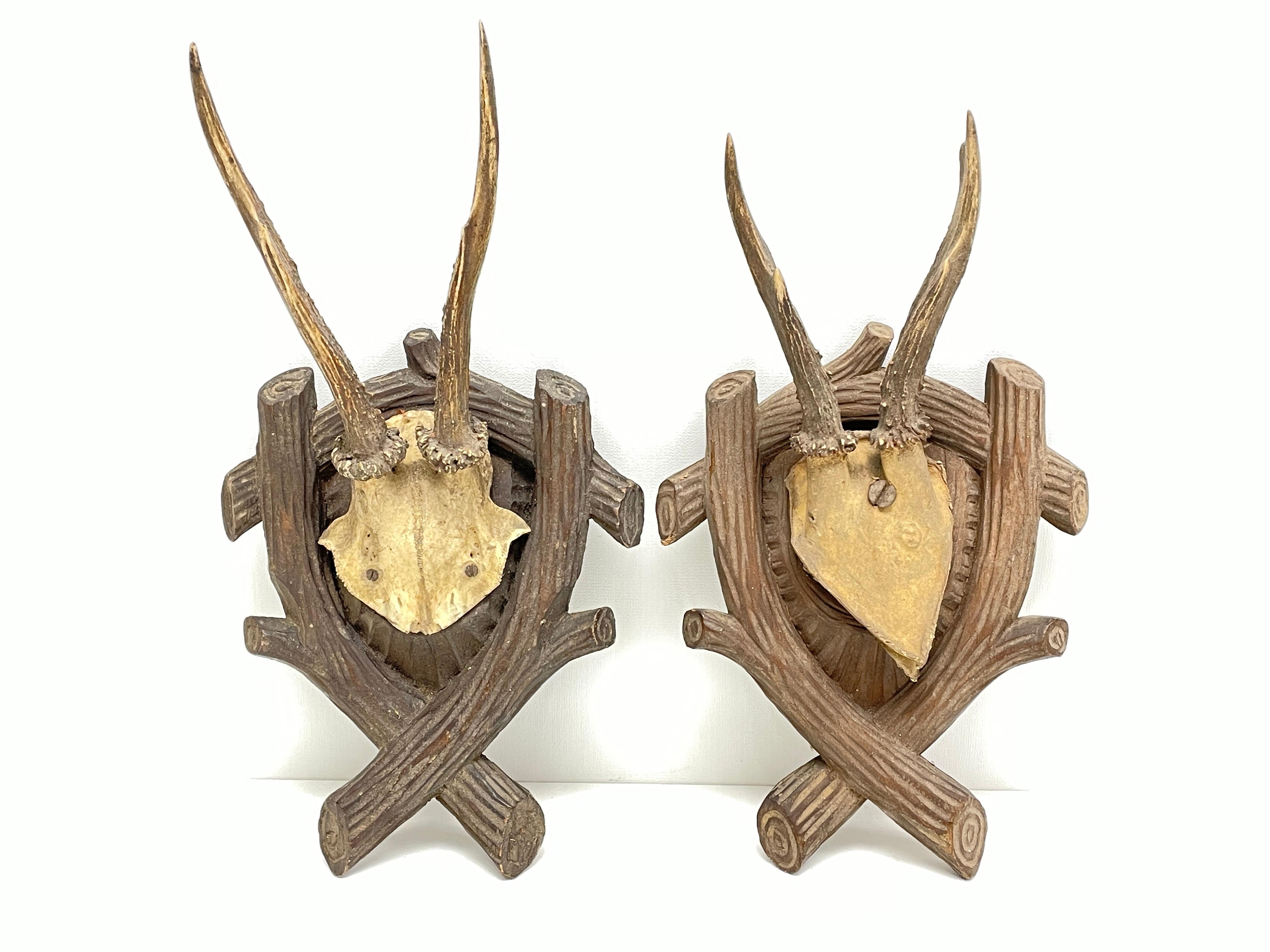 A set of two Antique black forest deer antler trophies on hand carved, Black Forest wooden plaques. I think they are from the 1890s or older. Tallest is approximate 12 1/2