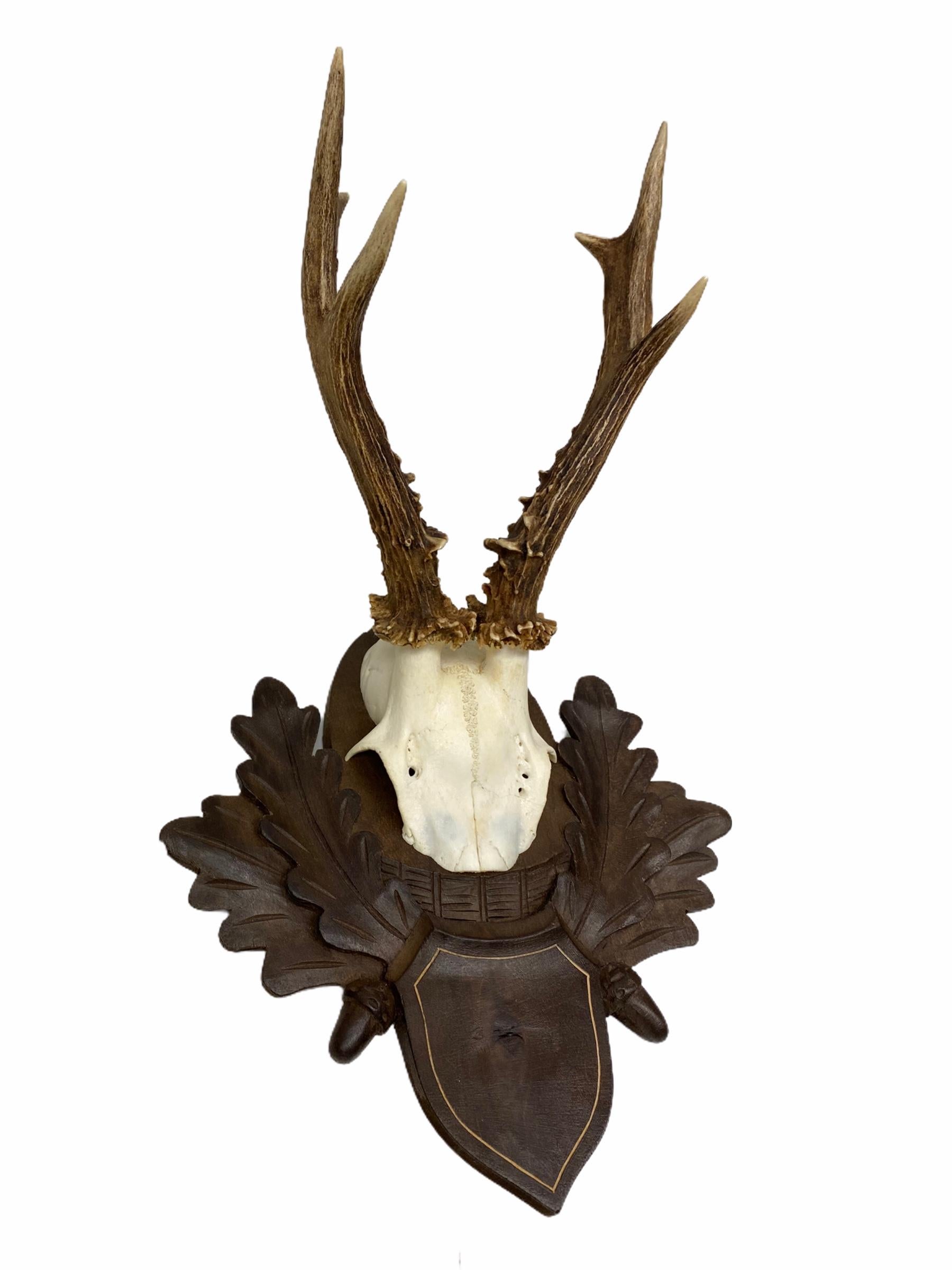 Hand-Carved Two Deer Antler Mount Trophy on Black Forest Carved Wood Plaque from Austria