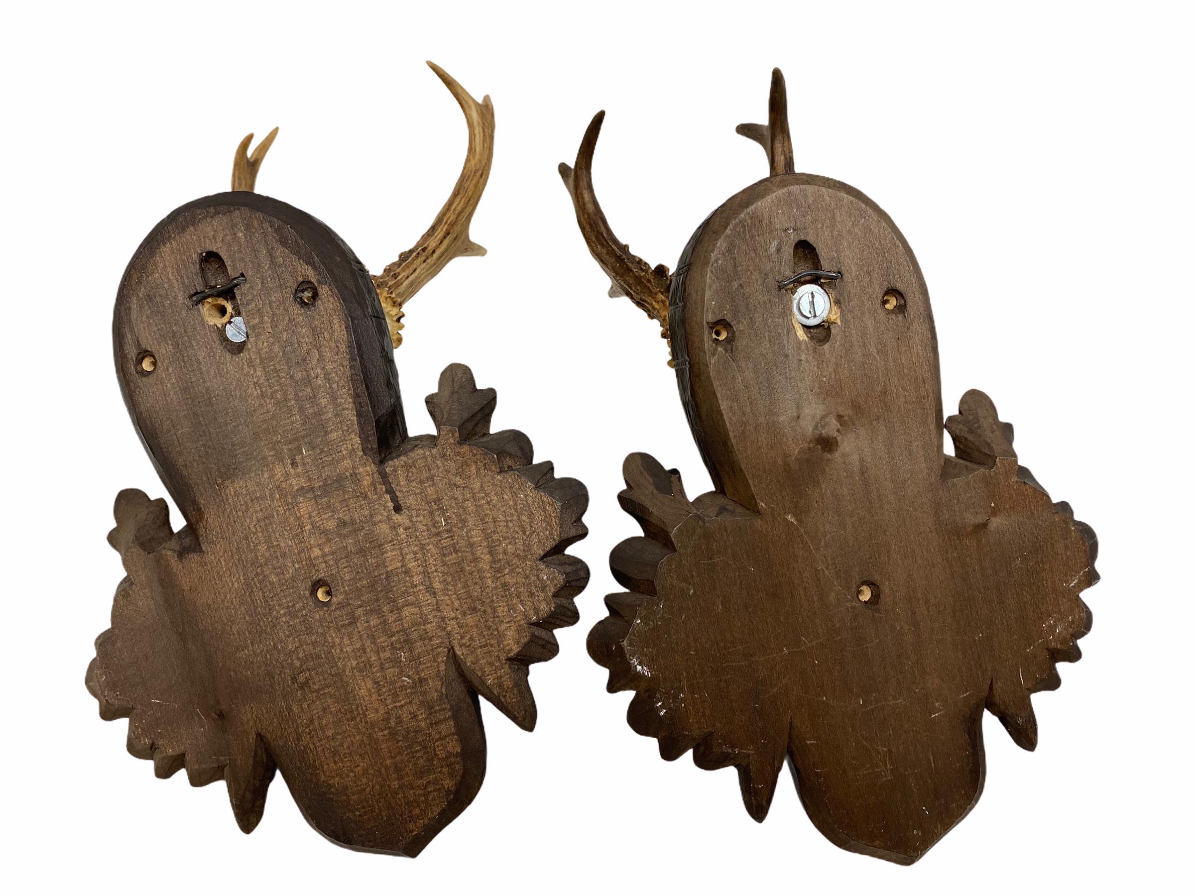 Two Deer Antler Mount Trophy on Black Forest Carved Wood Plaque from Austria In Good Condition In Nuernberg, DE