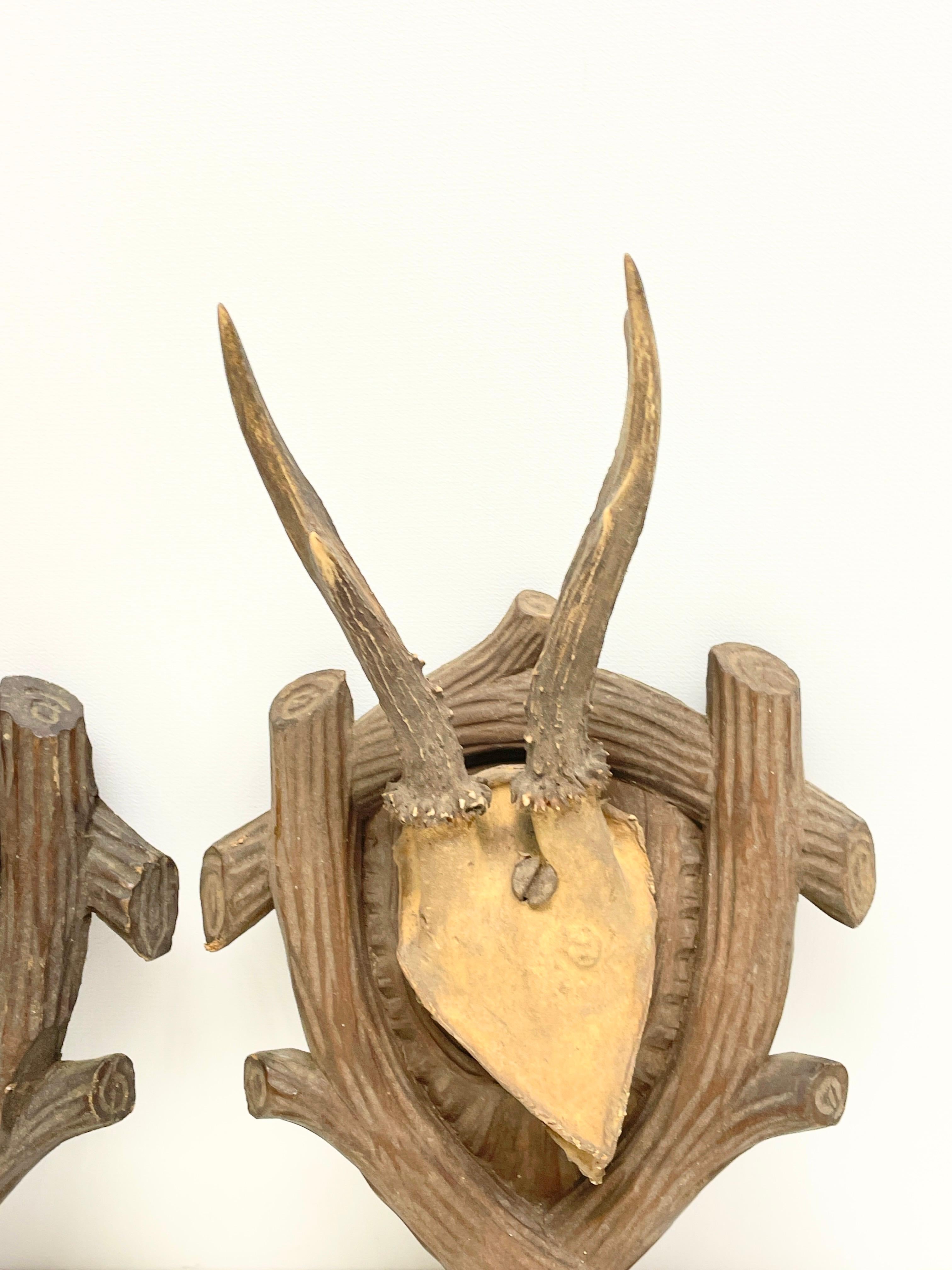 Late 19th Century Two Deer Antler Mount Trophy on Black Forest Carved Wood Plaque from Austria