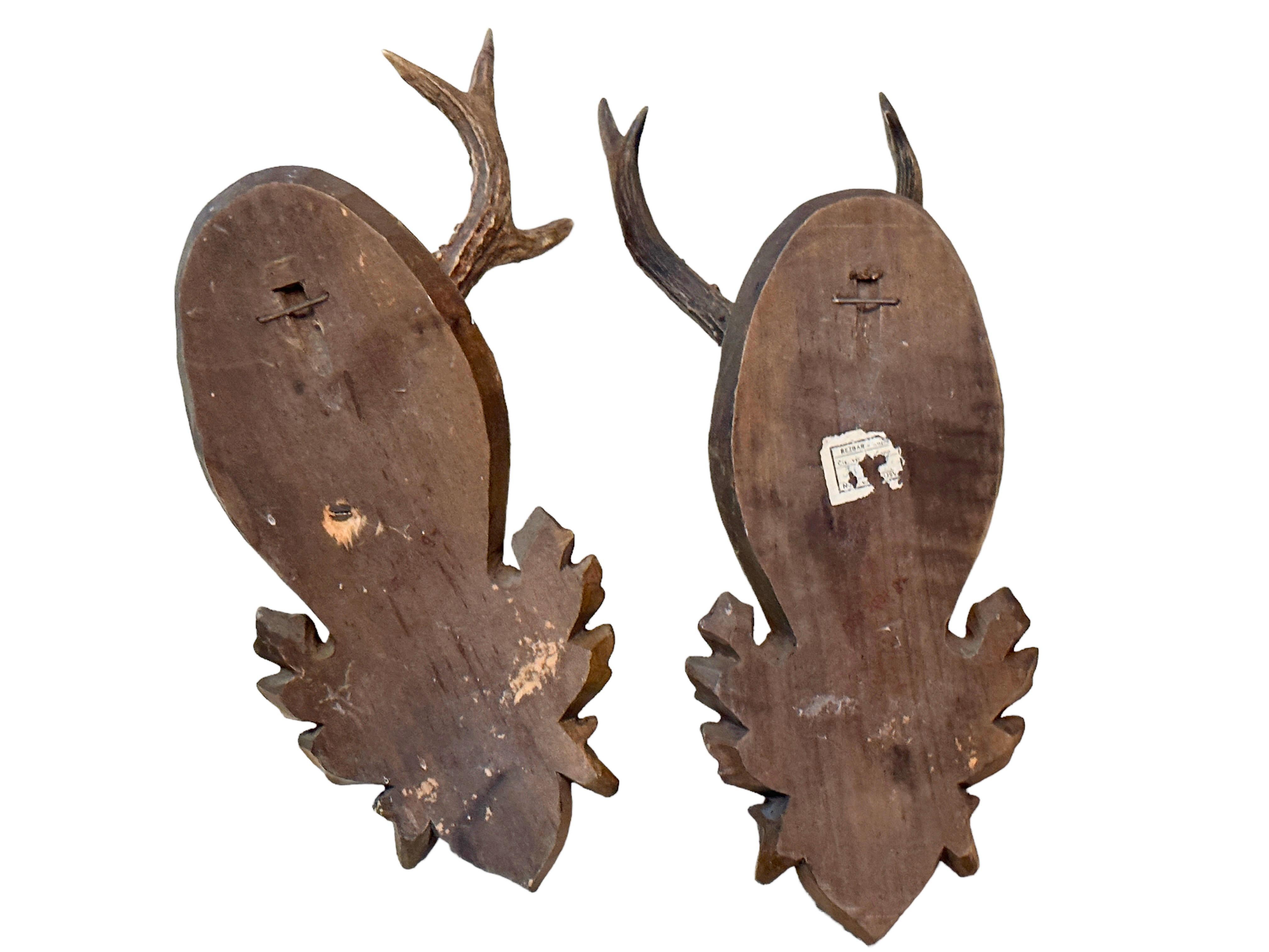 20th Century Two Deer Antler Mount Trophy on Black Forest Carved Wood Plaque from Austria