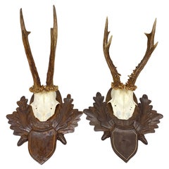 Vintage Two Deer Antler Mount Trophy on Black Forest Carved Wood Plaque from Austria
