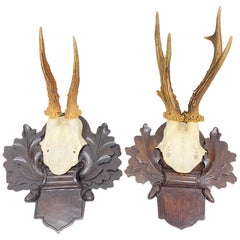 Trophée en bois de deux cerfs sur plaque en bois sculpté de la Forêt Noire d'Autriche
