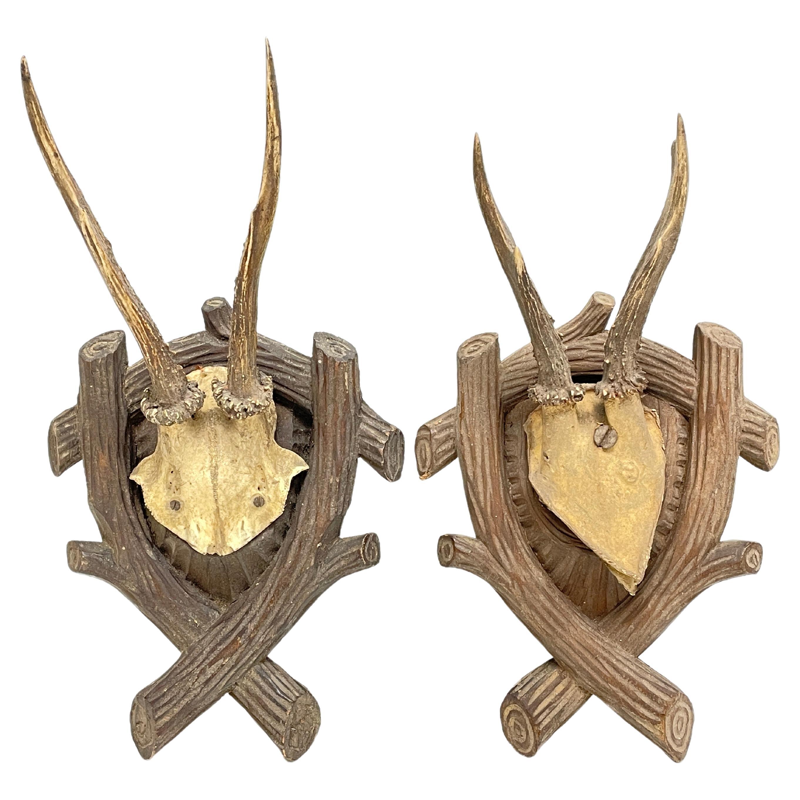 Two Deer Antler Mount Trophy on Black Forest Carved Wood Plaque from Austria