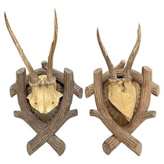 Two Deer Antler Mount Trophy on Black Forest Carved Wood Plaque from Austria