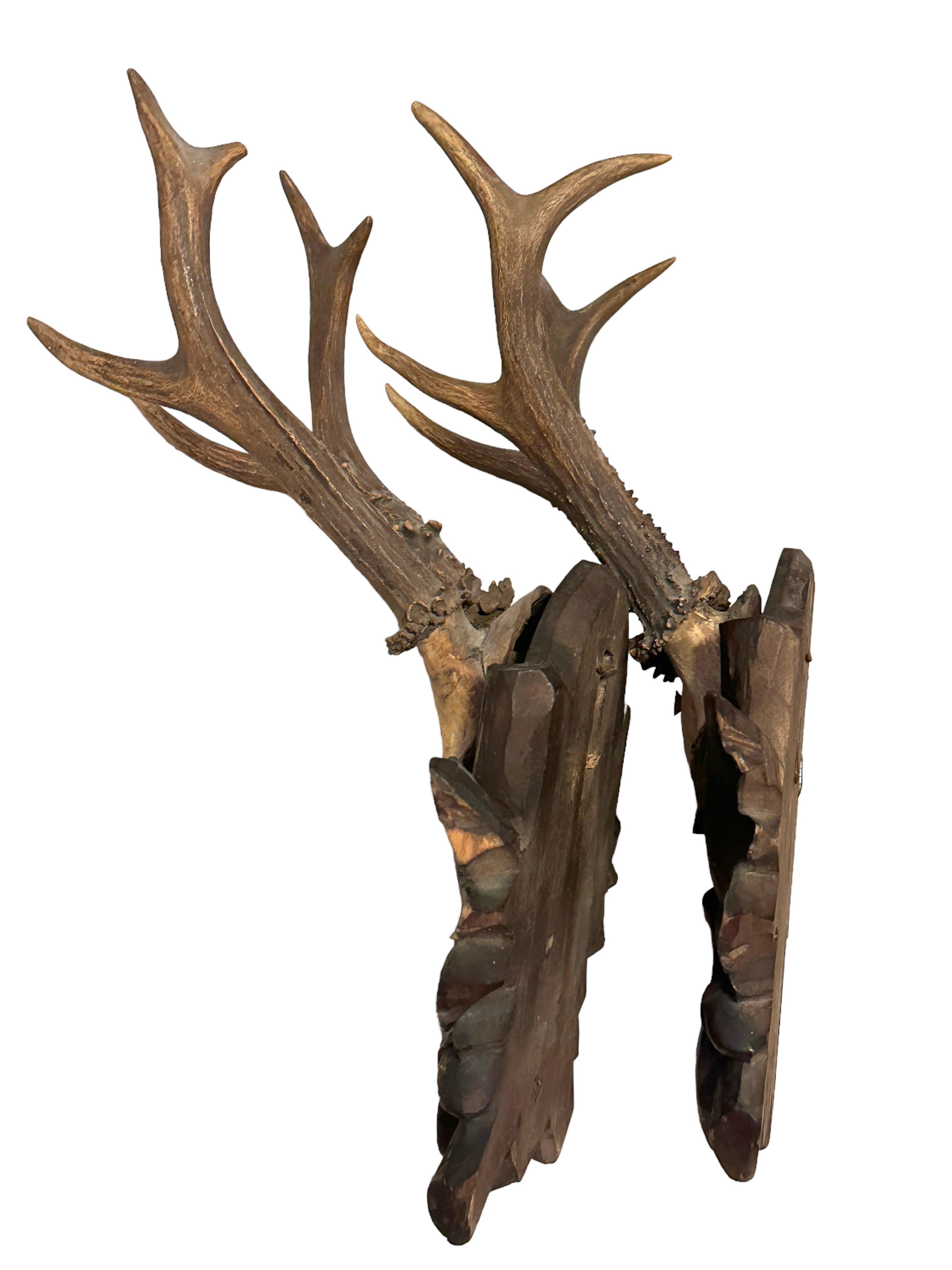 Allemand Monture de trophée en bois de deux cerfs sur plaque en bois sculpté Black Forest German Folk Art  en vente