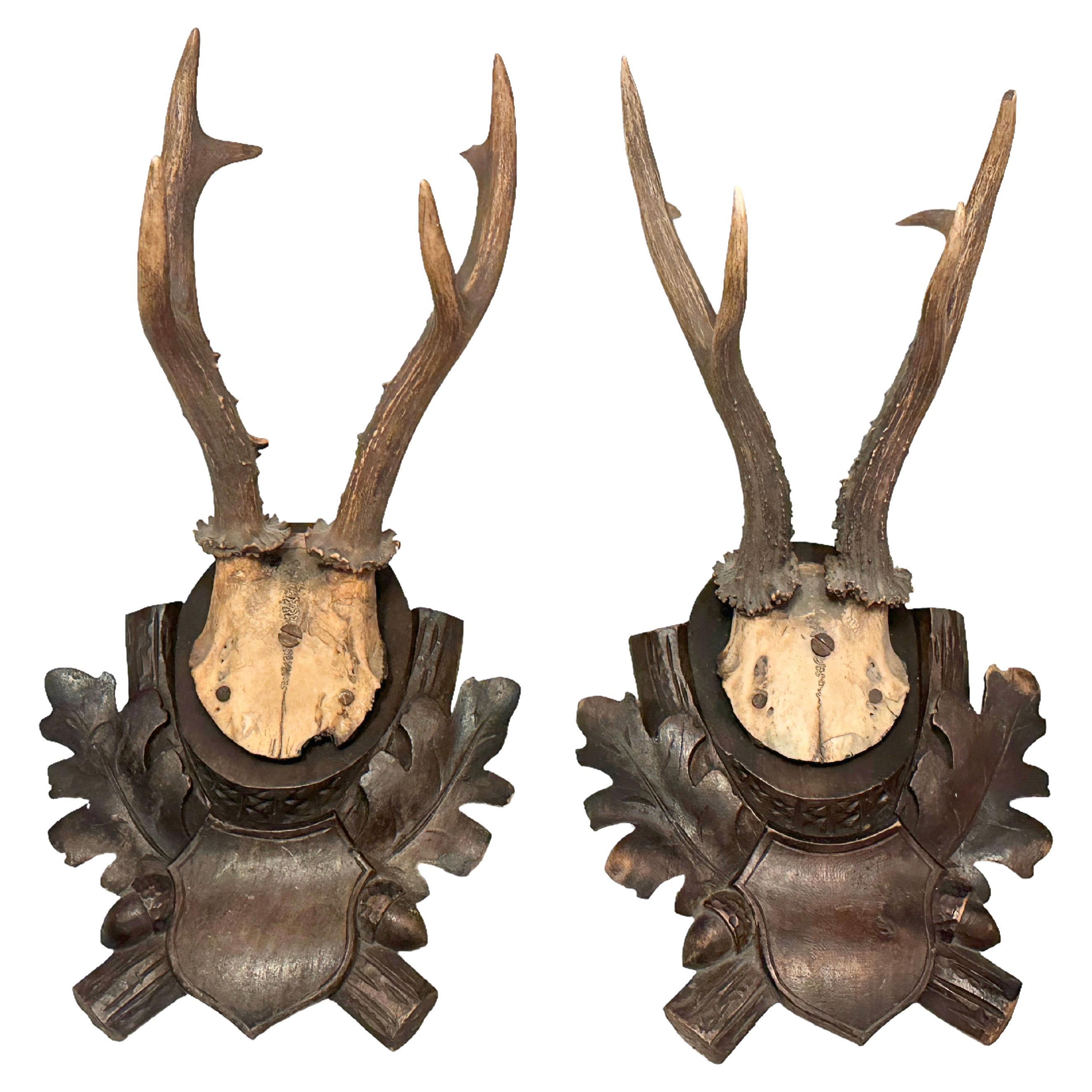 Two Deer Antler Mount Trophy on Black Forest Carved Wood Plaque German Folk Art  For Sale