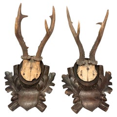 Two Deer Antler Mount Trophy on Black Forest Carved Wood Plaque German Folk Art 