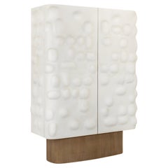 Two-Door Cabinet Crafted from Solid Oak with Plaster Finish By José Castro