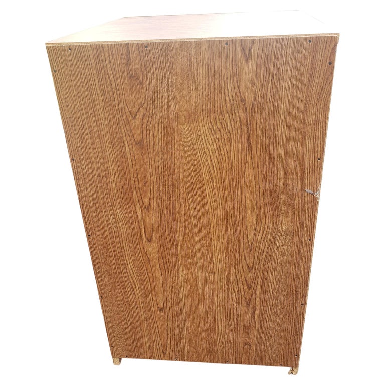 Two-Drawer Locking Filing Cabinet with Build-In Hanging File Folder ...