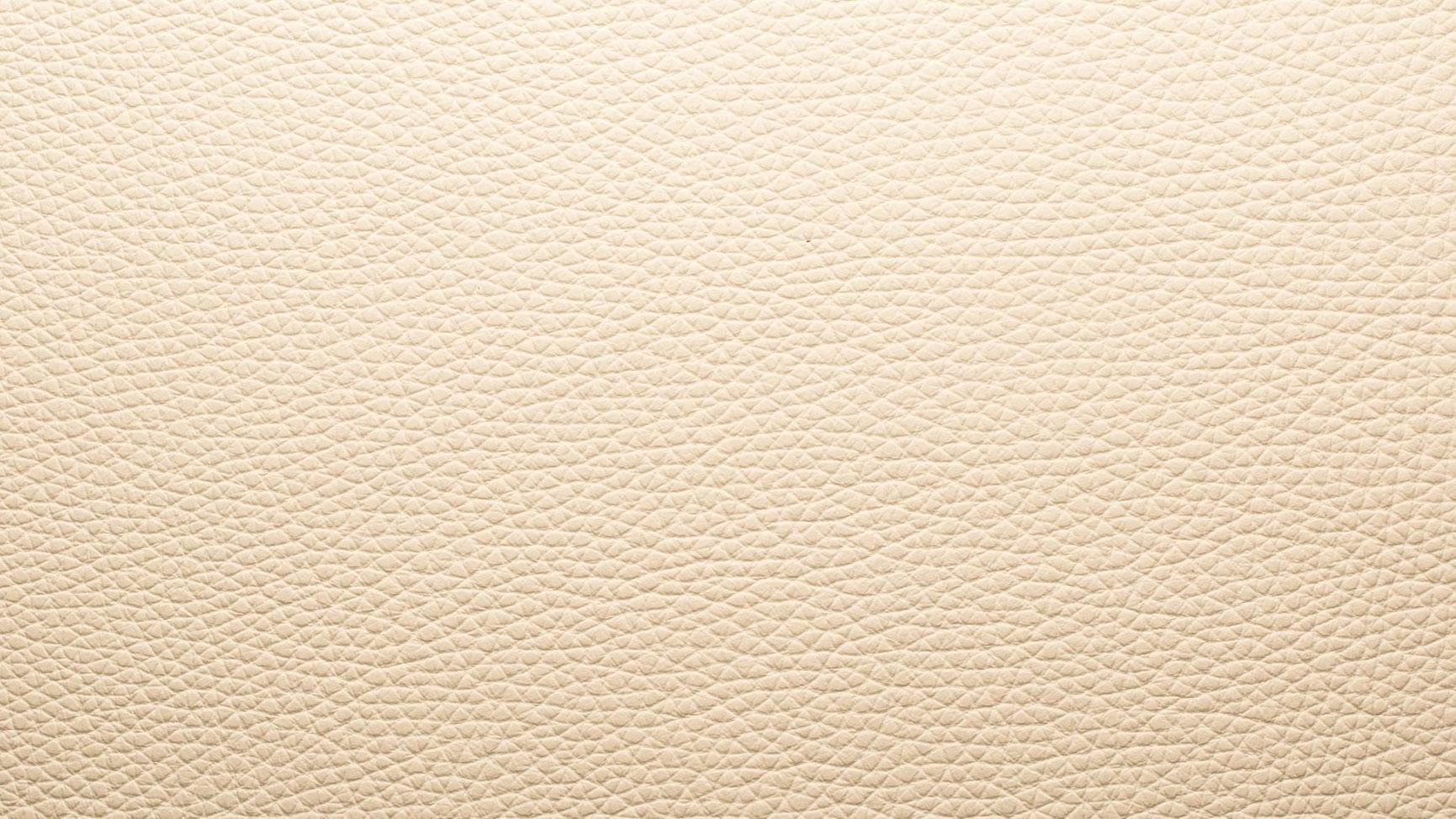 Contemporary Two DS-1025, Living Sand Leather