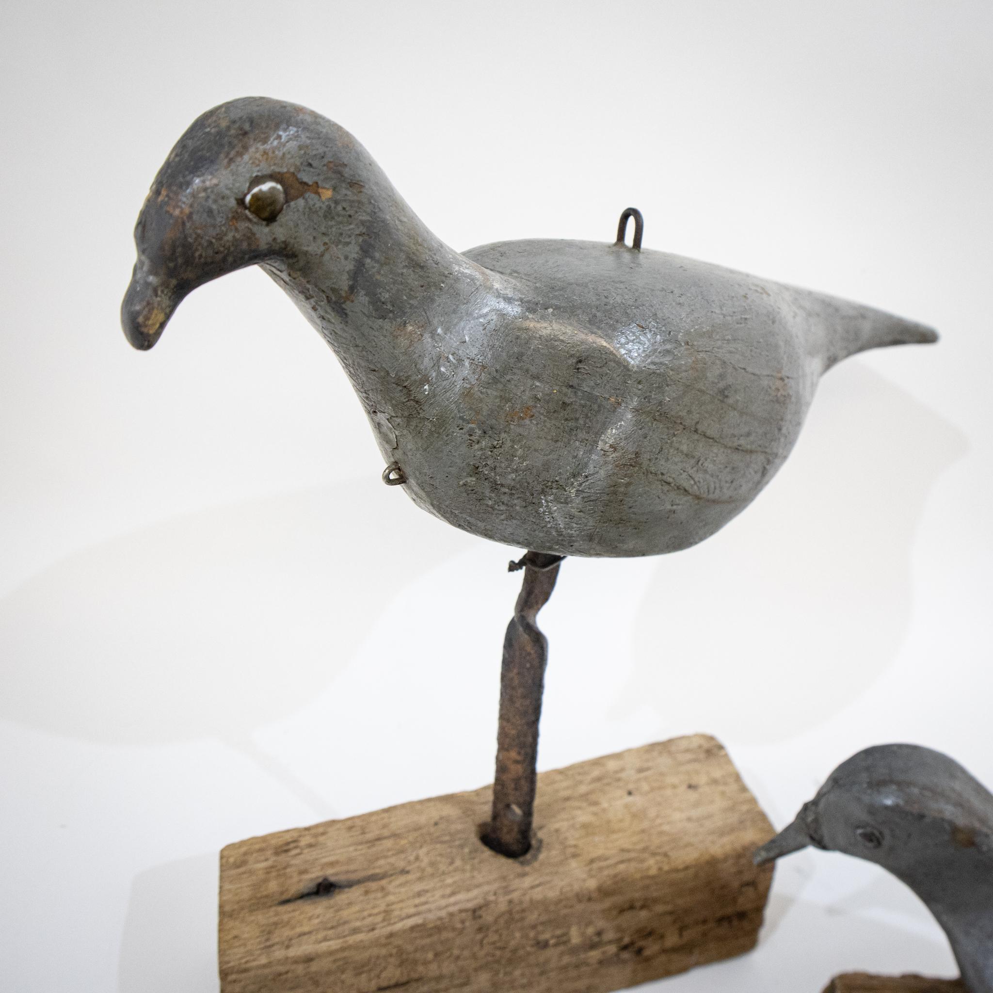 English Two Early 20th Century Decoy Pigeons, One Springloaded For Sale