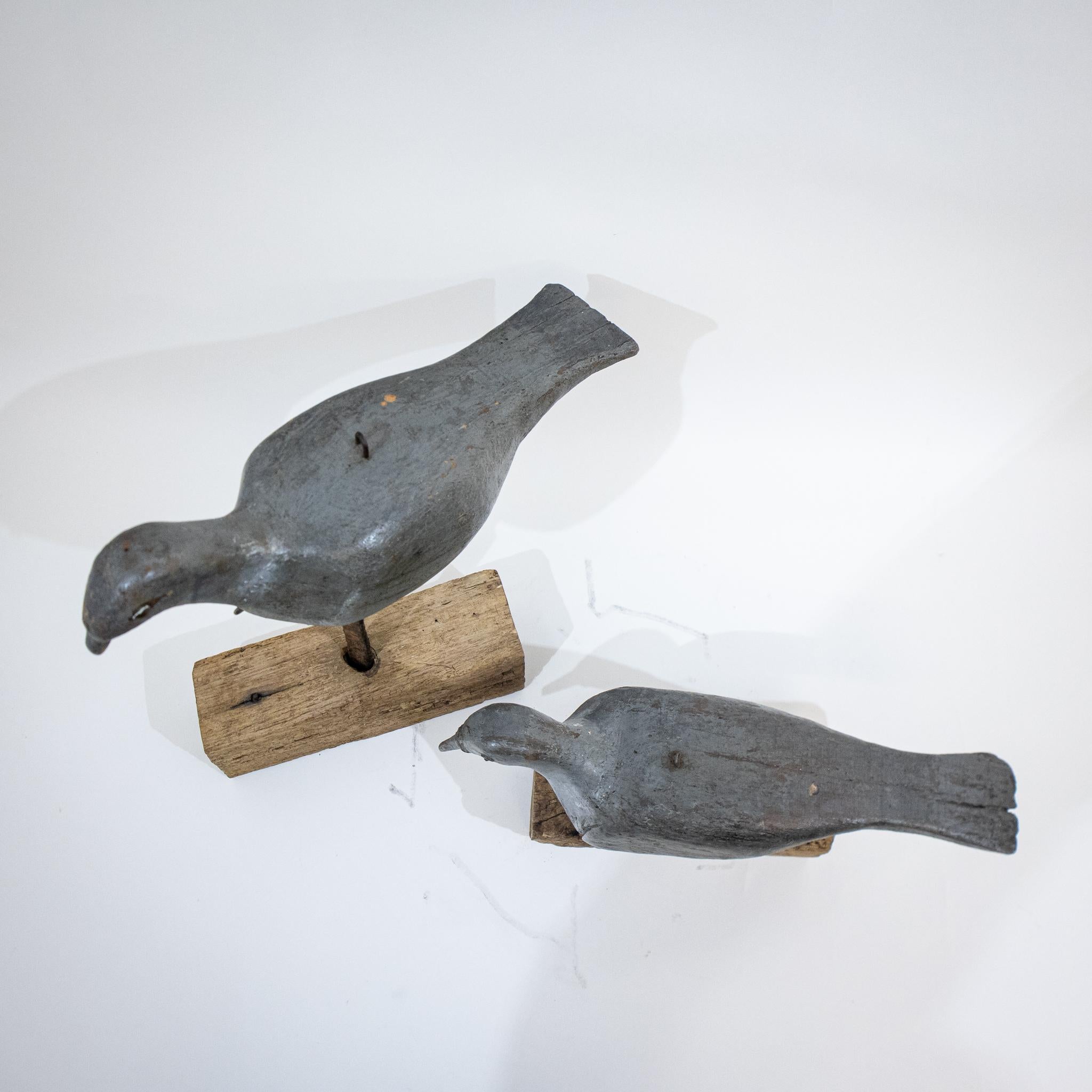 Two Early 20th Century Decoy Pigeons, One Springloaded For Sale 3