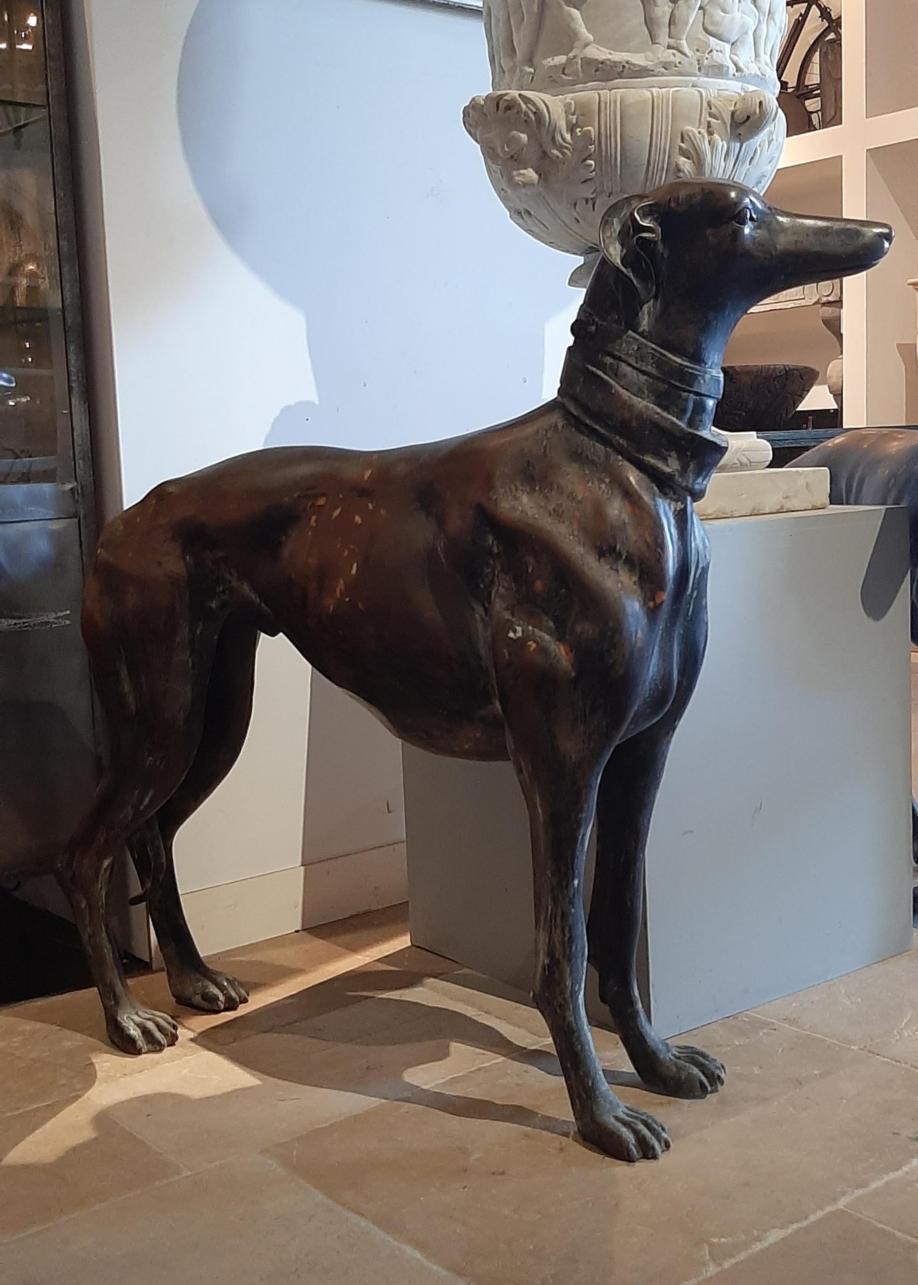 Beautiful set of two lifesize bronze statues of a male and female greyhound from the early 20th Century. Animal statues are a real eycatcher. These detailed Art deco sculptures of the two hunting dogs can be placed in interior as well as outside in