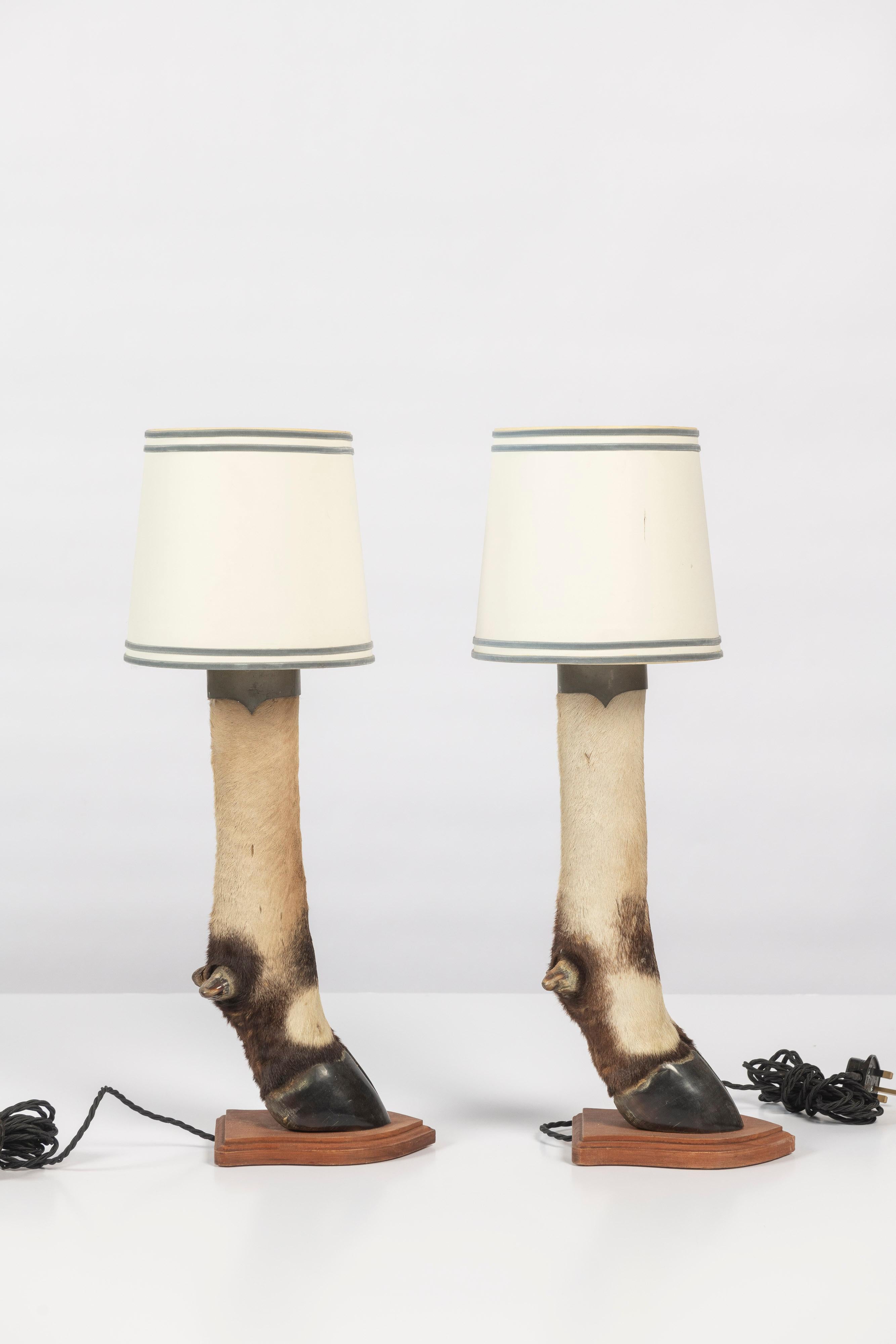 Two hoof table lamps with ivory shades. The taxidermy is mounted upon a small wooden shield, featuring a simple switch, wired for EU usage. The shades that are included are 8