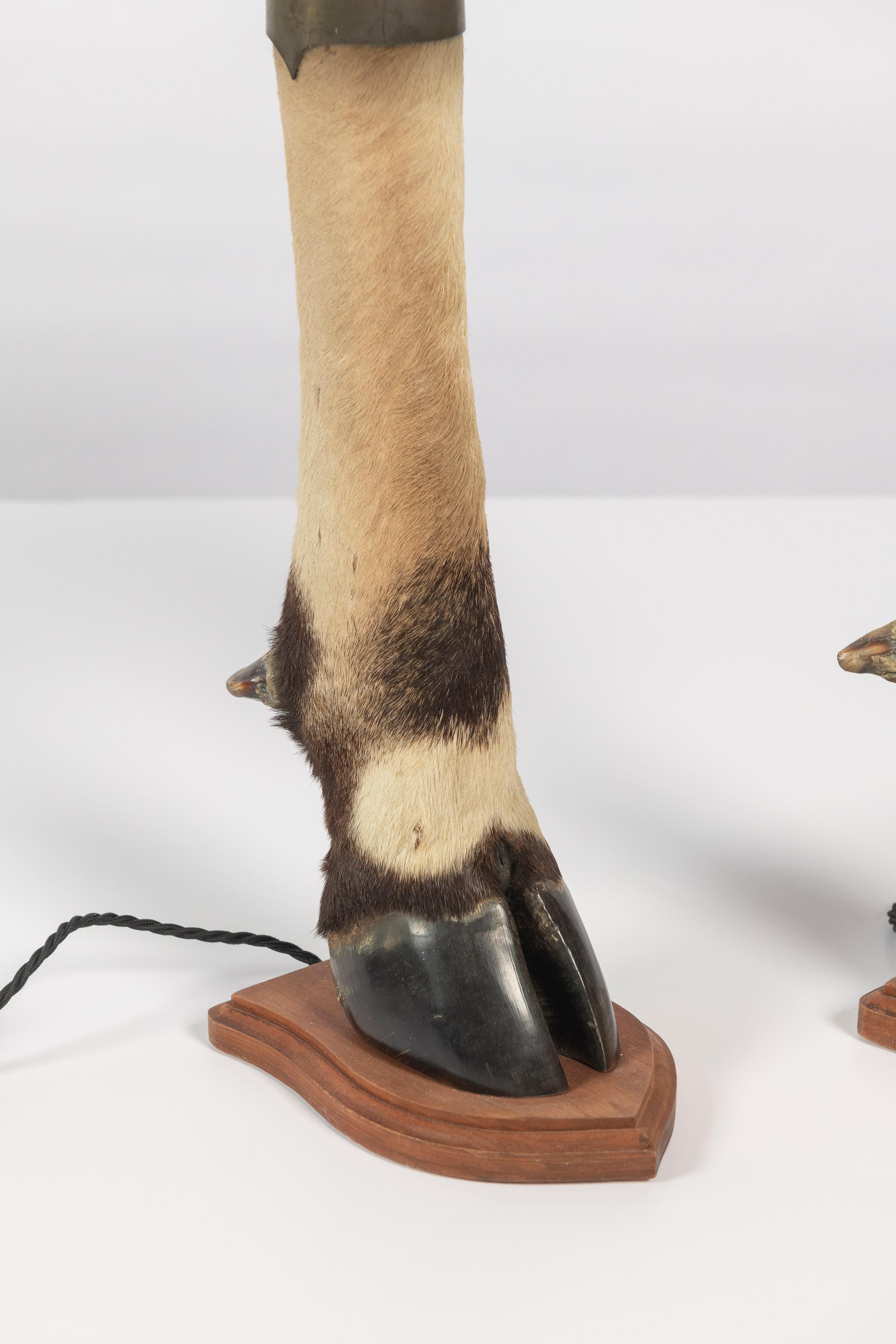 Rustic Two French Bovine Hoof Table Lamps with Shades For Sale
