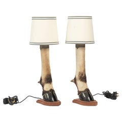 Two French Bovine Hoof Table Lamps with Shades