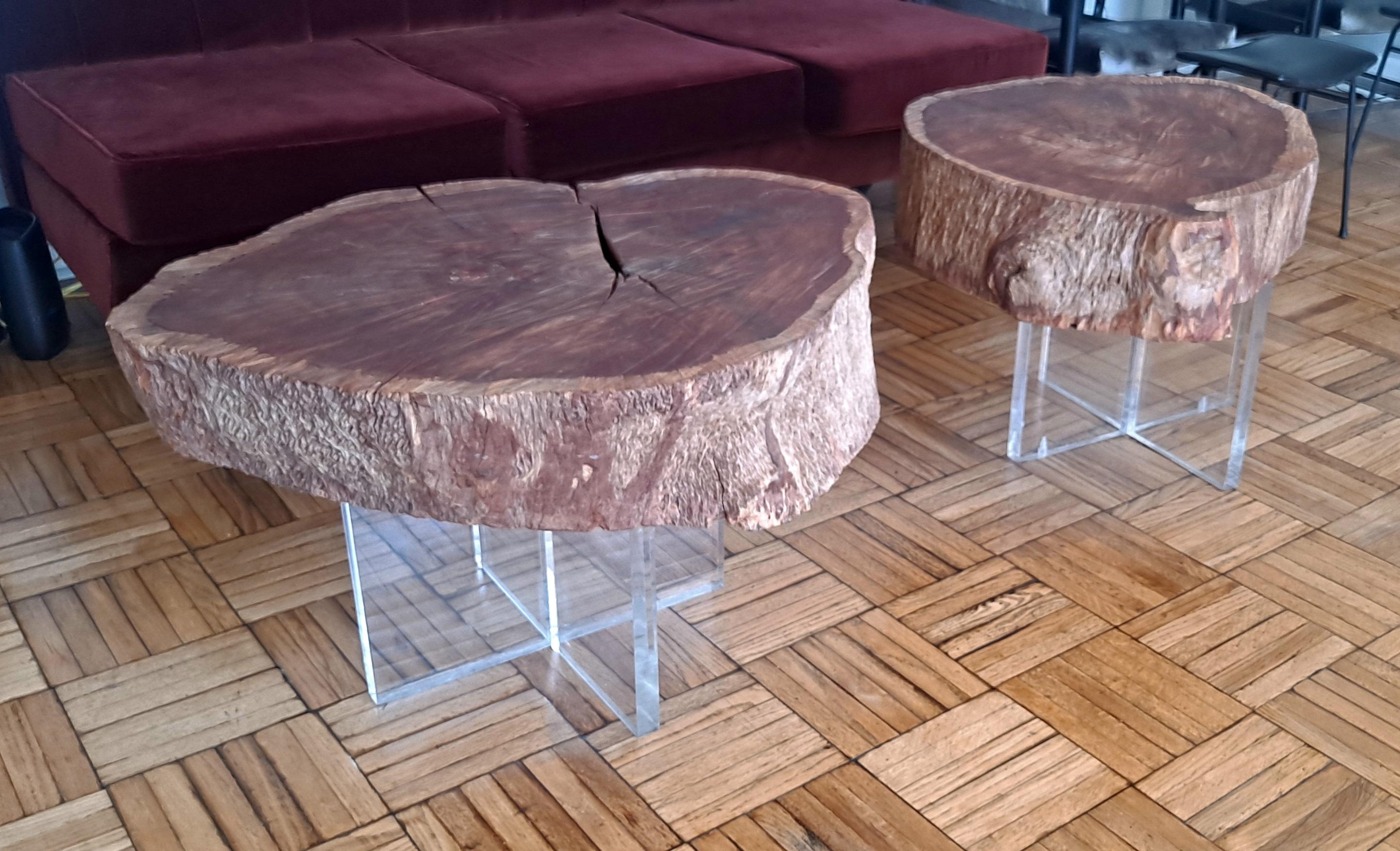 Two Eucalyptus Side Table For Sale 1