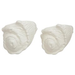 Two Faux Plaster Nautilus Shell Wall Lights