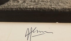 Zwei weibliche Aktfotografien