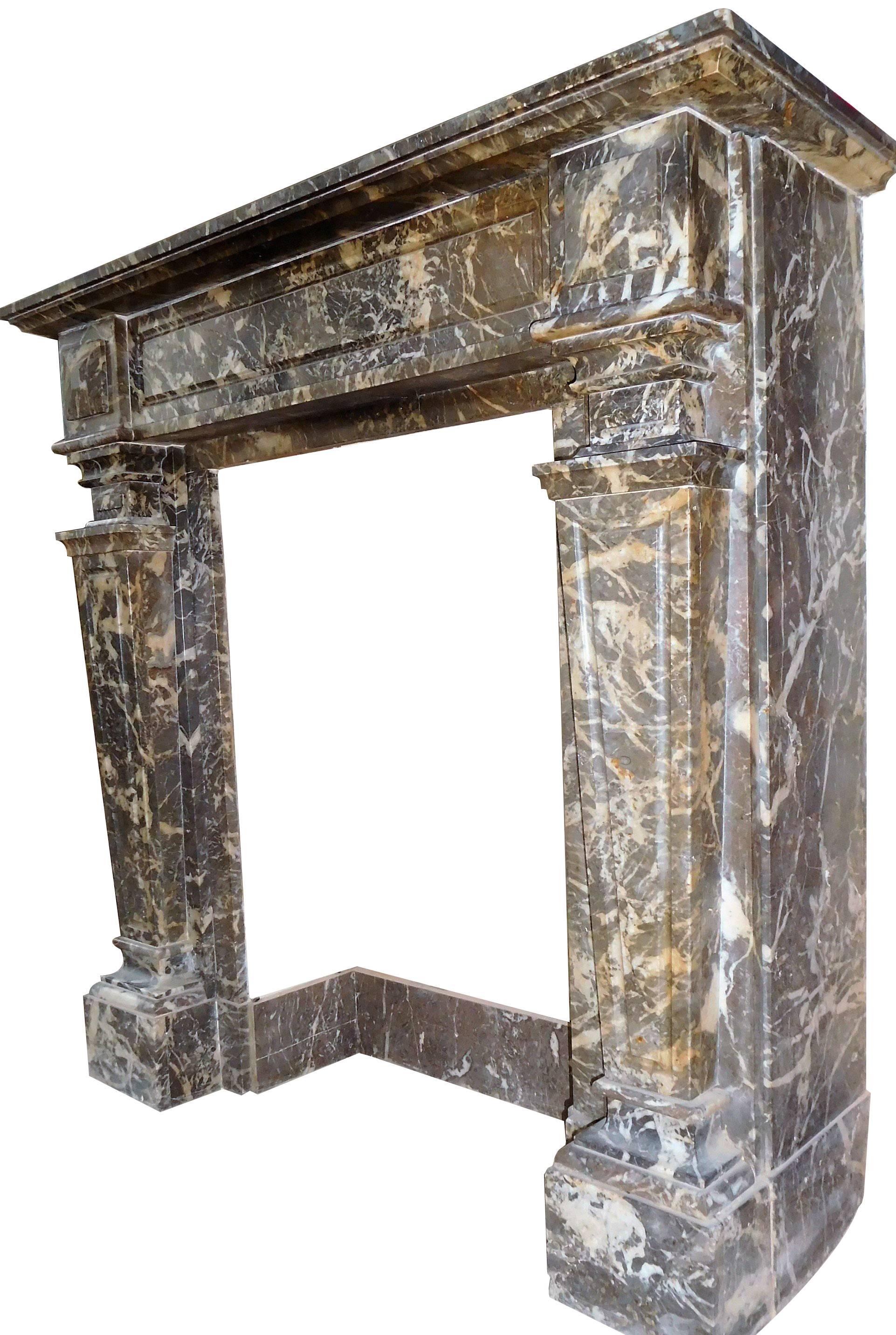 Napoleon III Antique Fireplace Grey Marble Gris des Andennes, 19th. Century For Sale