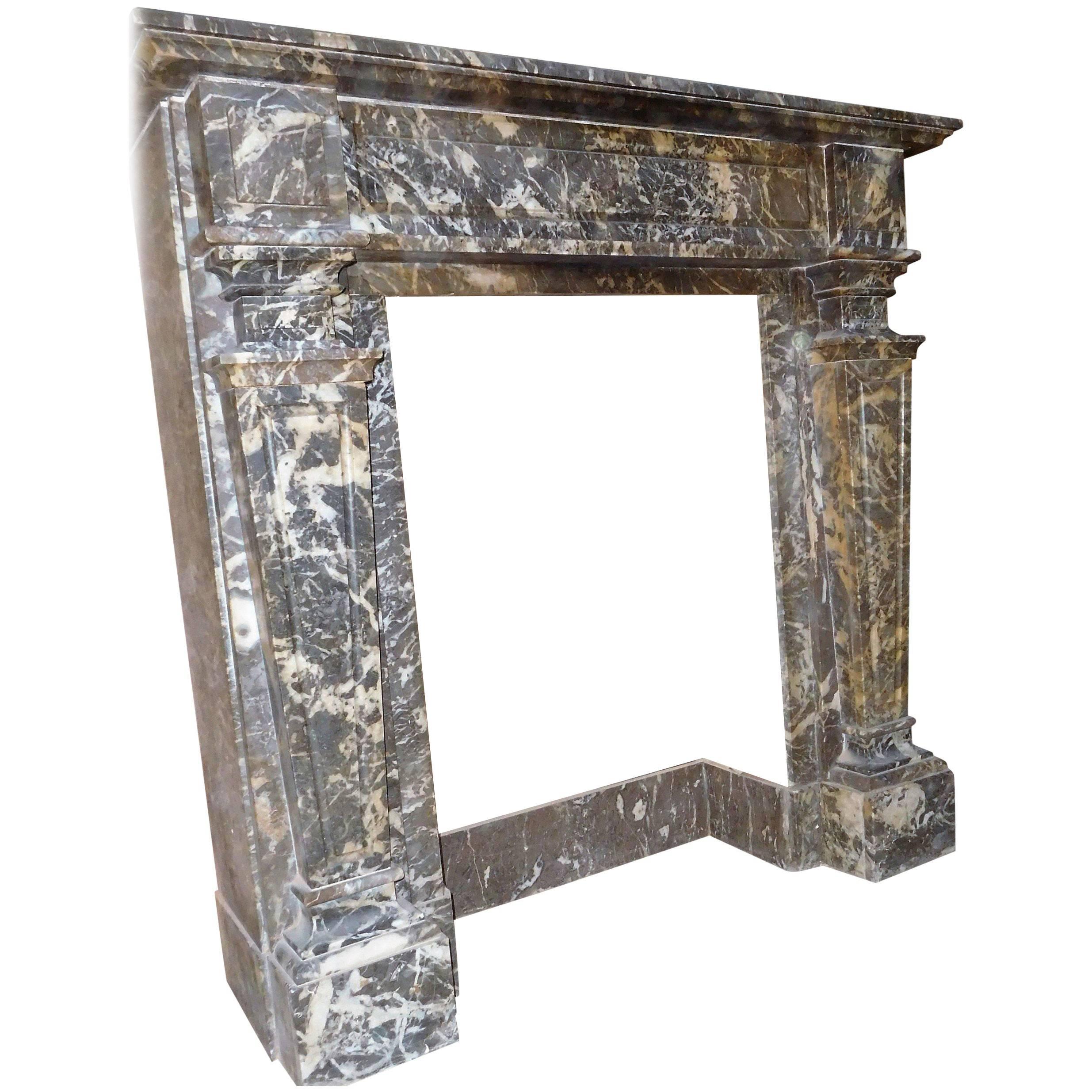 Antique Fireplace Grey Marble Gris des Andennes, 19th. Century For Sale