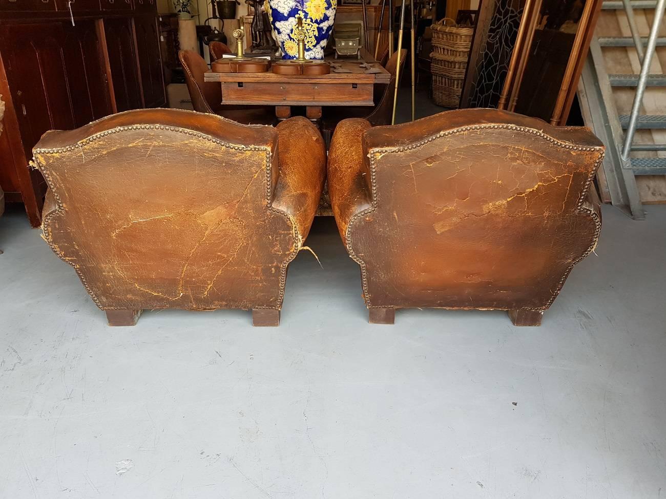 20th Century Two French Leather Club Chairs from the 1930s