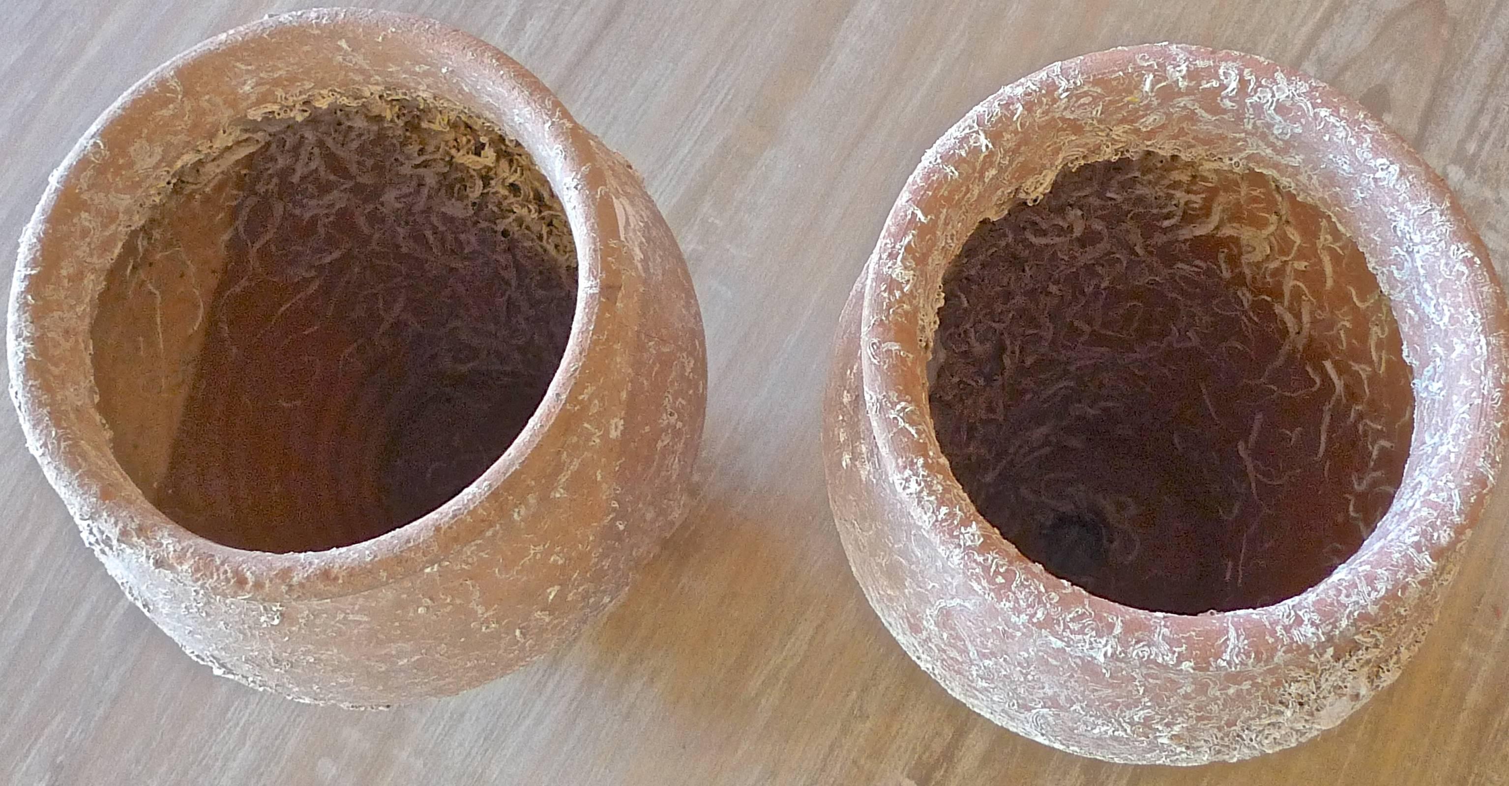 Two French 19th century terra cotta pots submerged in the Mediterranean sea.