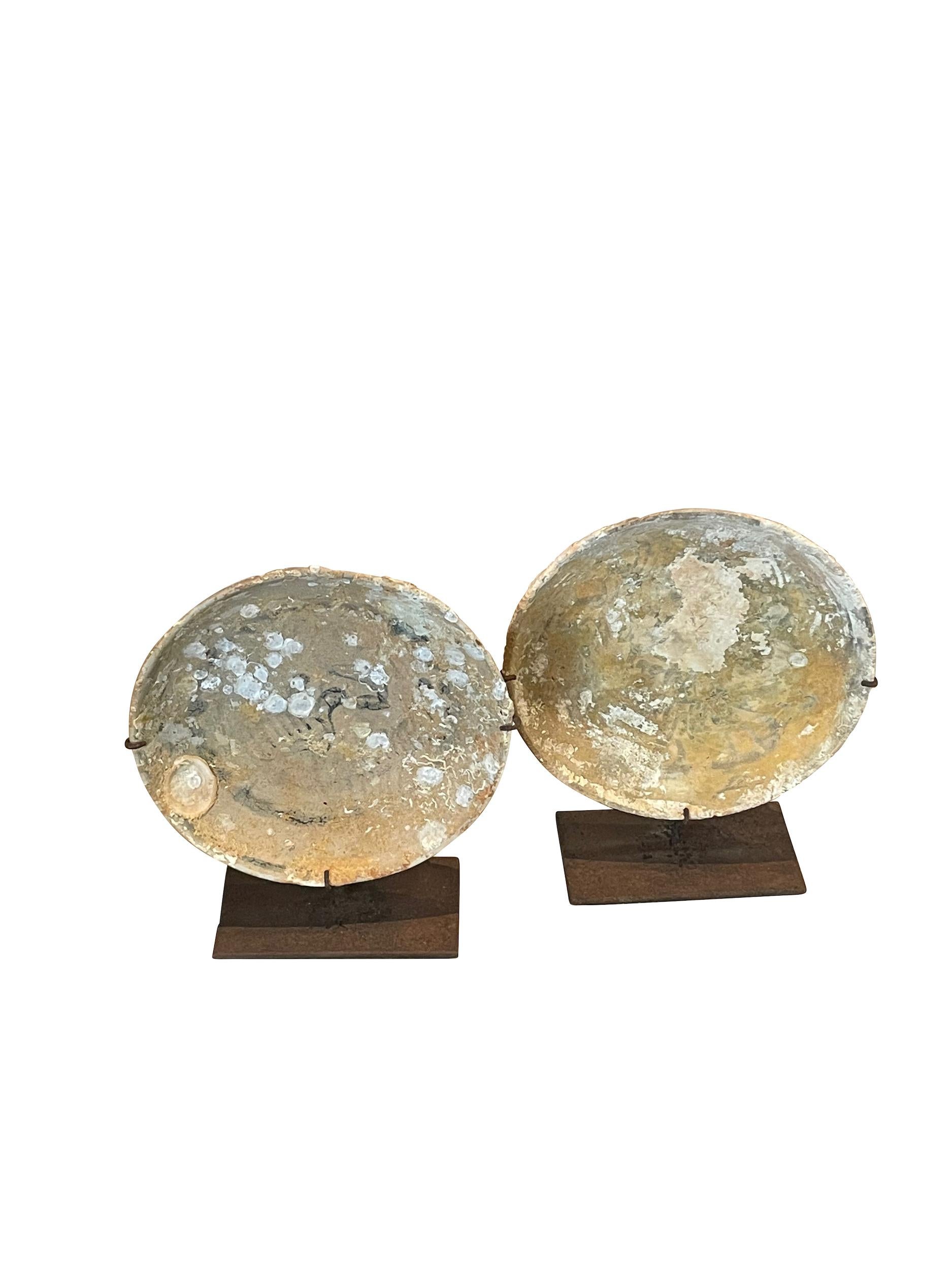 Cinese del XVI secolo, dinastia Ming, due piatti dipinti in oro provenienti da un naufragio.
Bellissima patina naturale dovuta all'immersione in acqua per centinaia di anni.
I supporti misurano 5