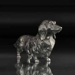 Silver long-haired dachshund model