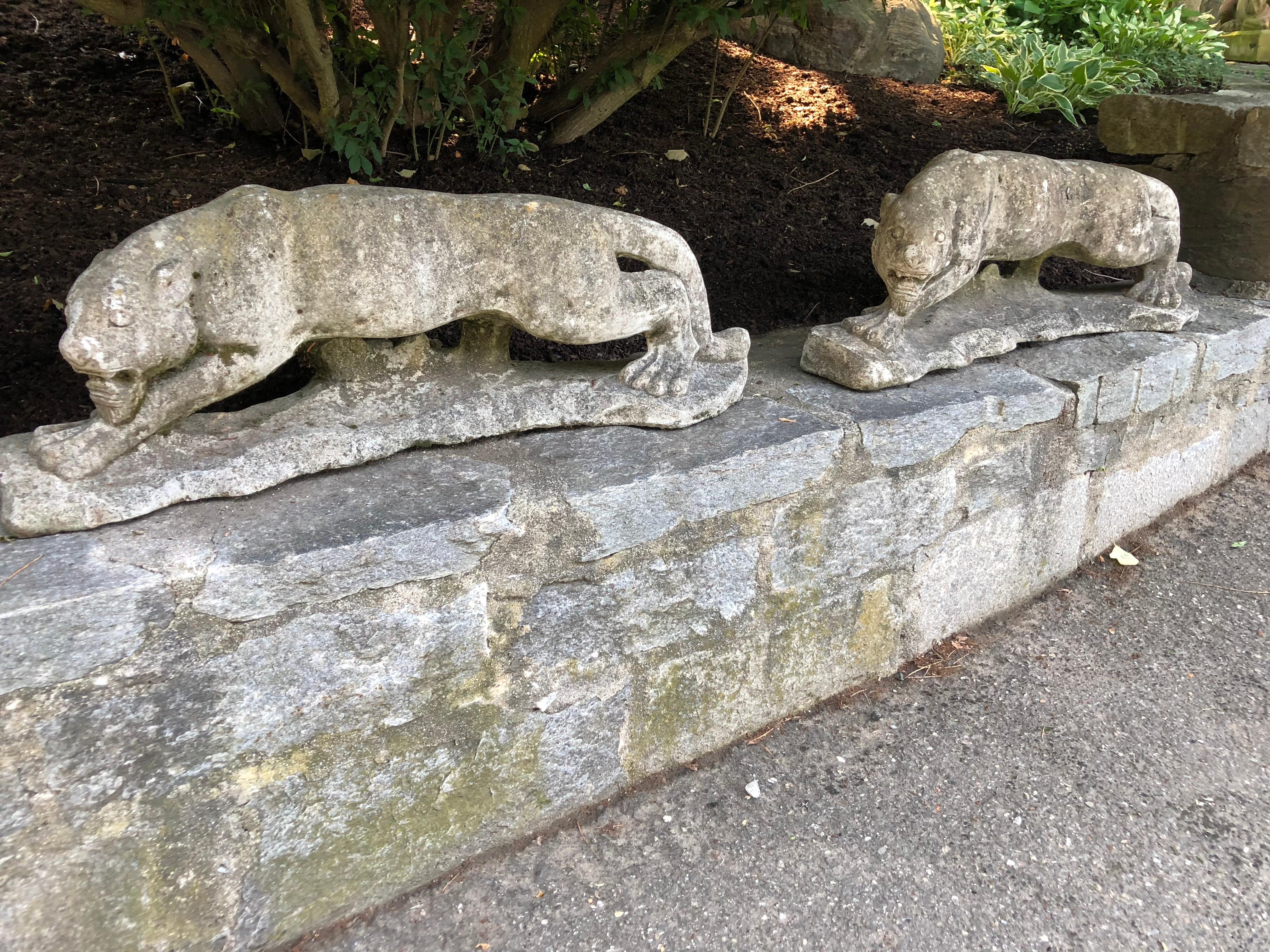 Two Identical English Cast Stone Crouched Panthers 14