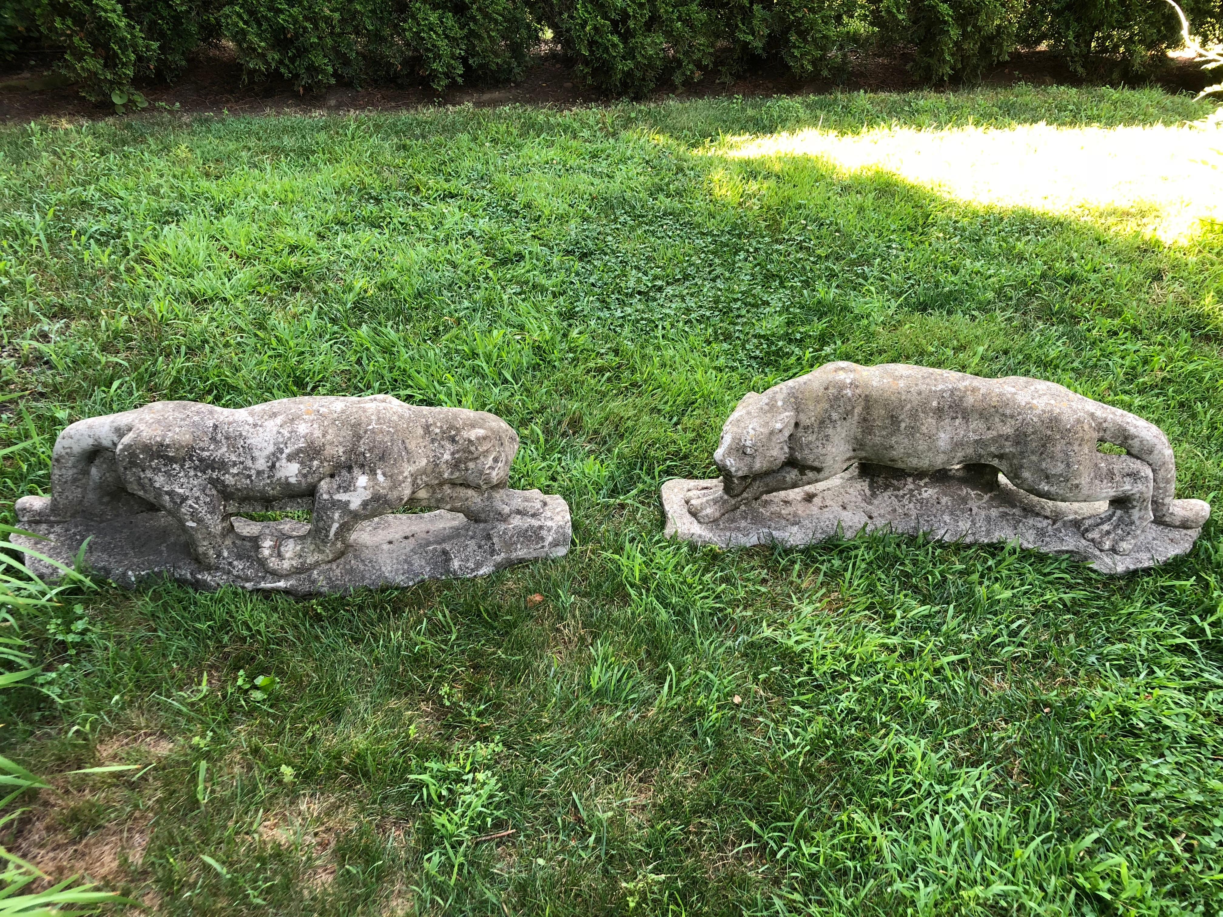20th Century Two Identical English Cast Stone Crouched Panthers