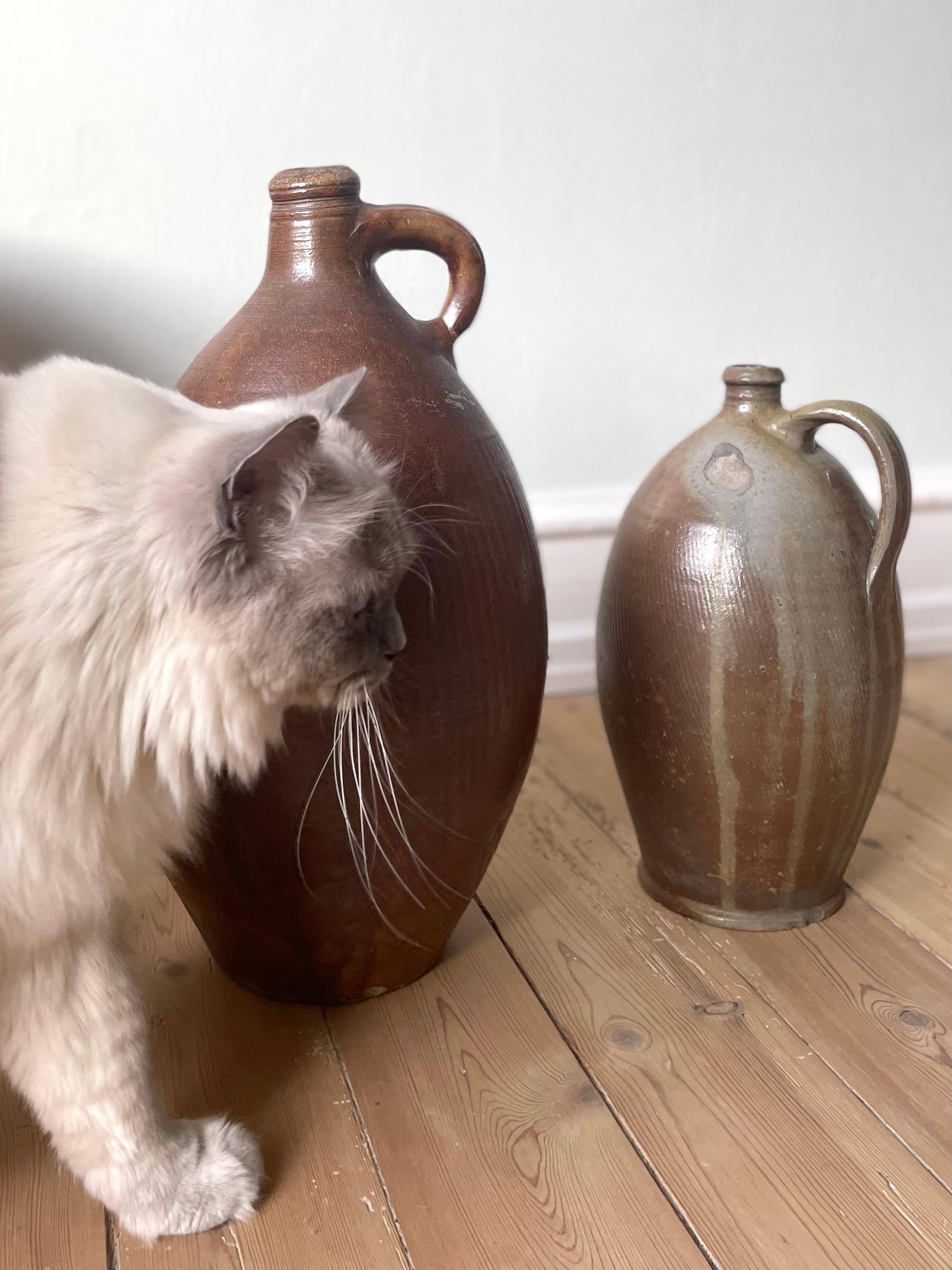 Two Large 19th Century French Terracotta Cruche Bottle Jugs For Sale 7