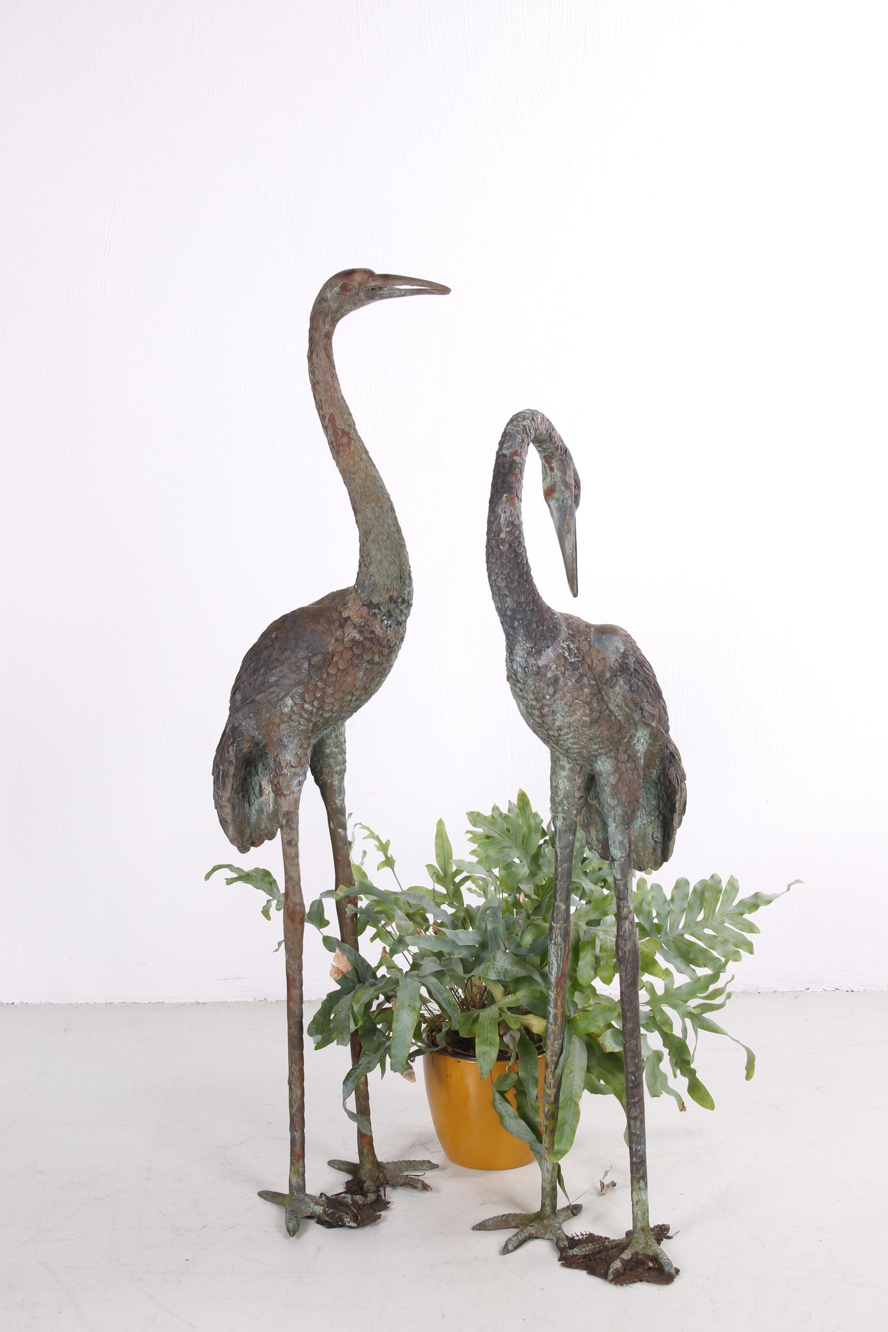 Two large bronze cranes in Hollywood Regency style 1970s.

Very beautiful and bronze statues nice for the garden or living room.
Statues are in very good condition.

Height 2nd crane 95 cm.


  
